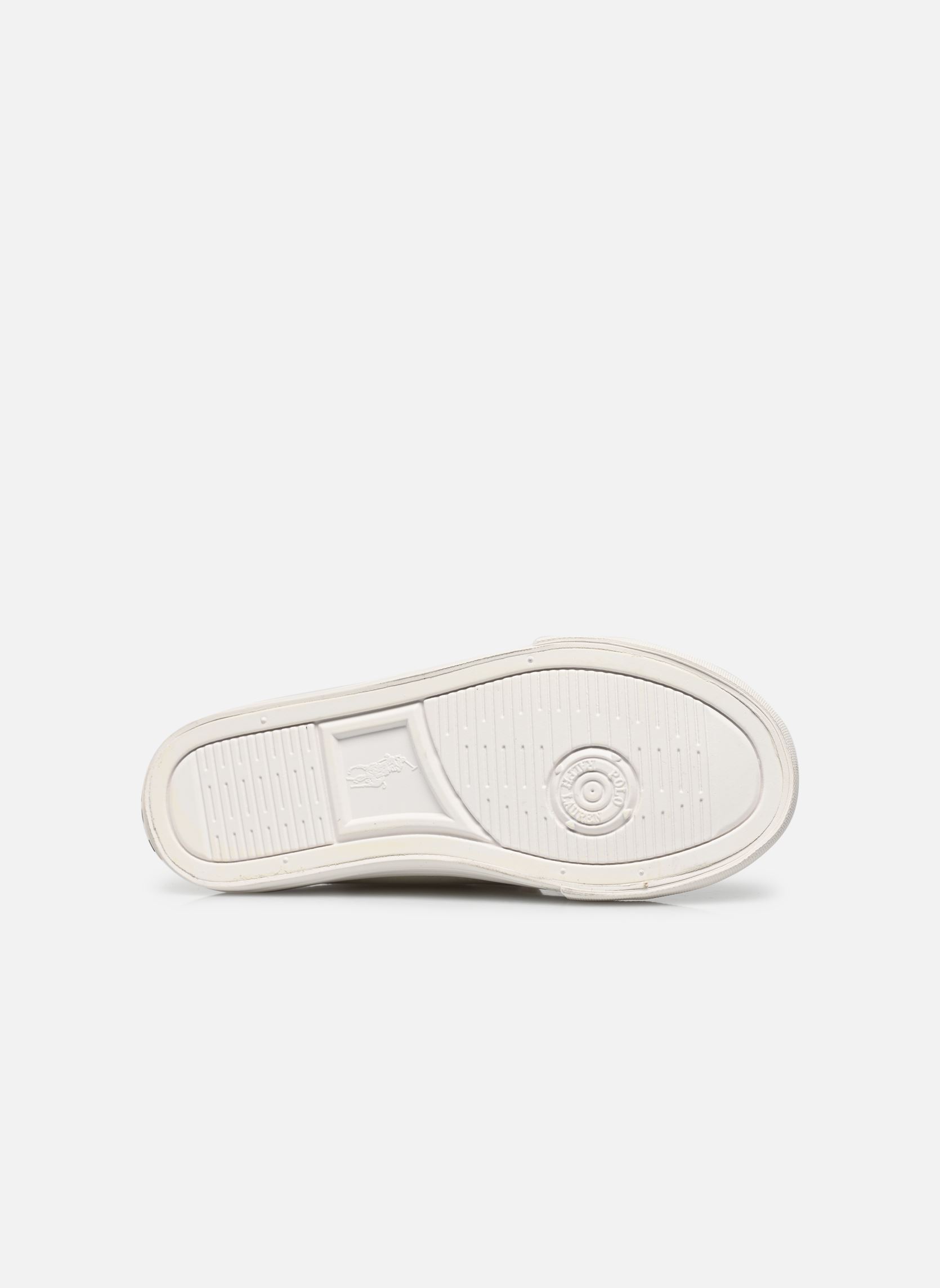 Baskets basses FORRESTER LOW EZ beige Polo Ralph Lauren Baskets basses FORRESTER LOW EZ beige CREAM CANVAS