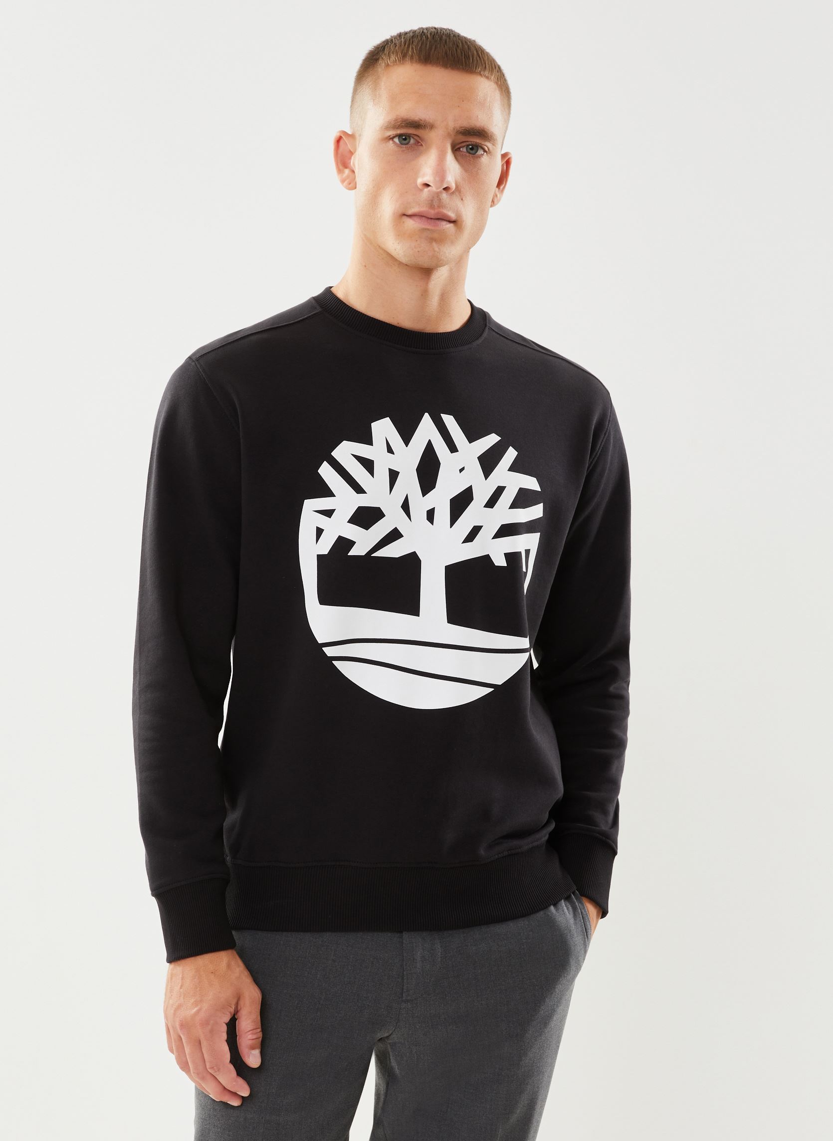 Vêtements Timberland Core Logo Crew Bb pour Accessoires - vue 2