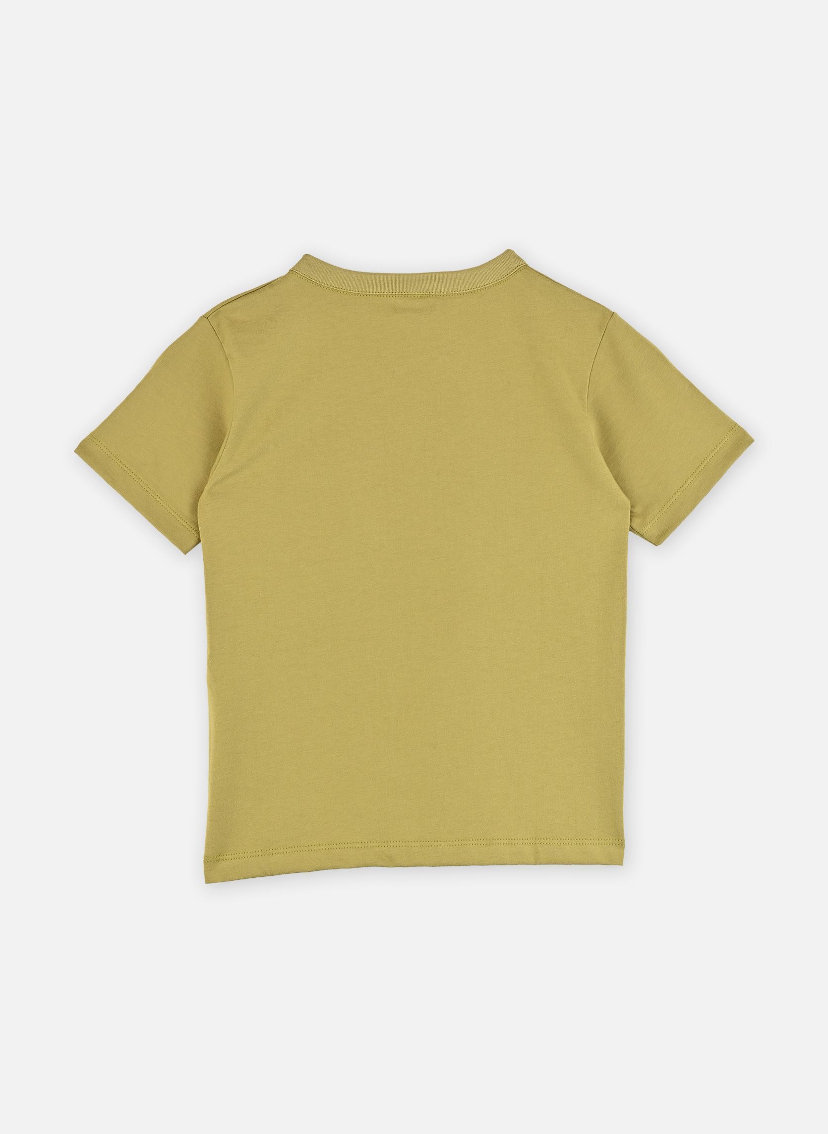 Tee-shirts Tee Shirt Francesco garçon vert Petit Bateau Tee-shirts Tee Shirt Francesco garçon vert MOSS