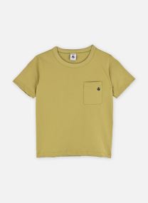 Tee-shirts Tee Shirt Francesco garçon vert Petit Bateau Tee-shirts Tee Shirt Francesco garçon vert MOSS