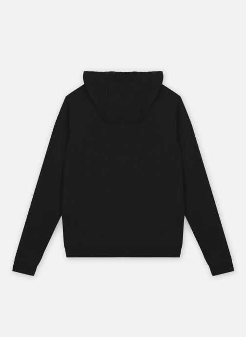 Imágenes De Herradura Animada - Descarga Gratuita En