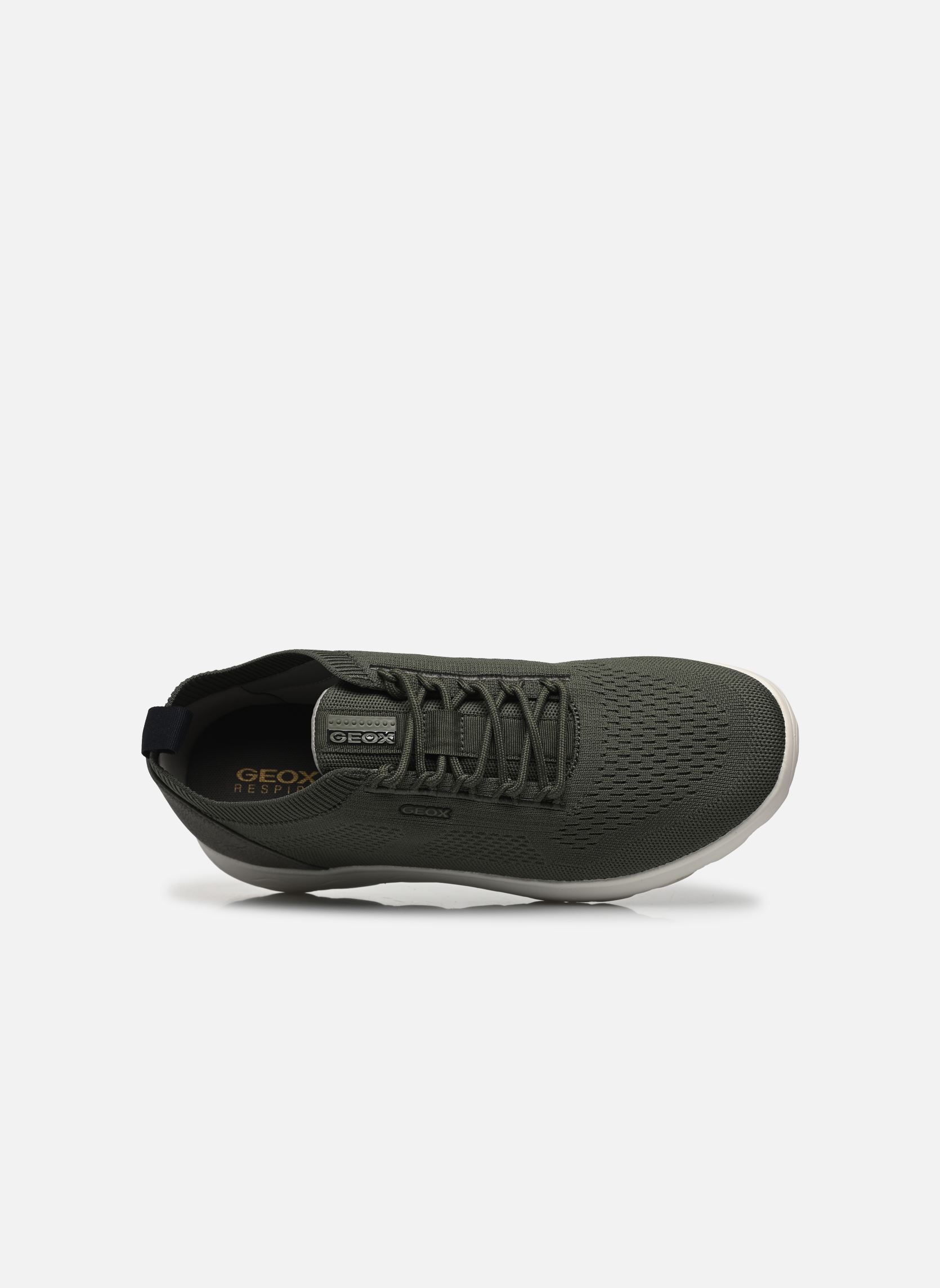 Baskets basses U SPHERICA homme vert Geox Baskets basses U SPHERICA homme vert Green