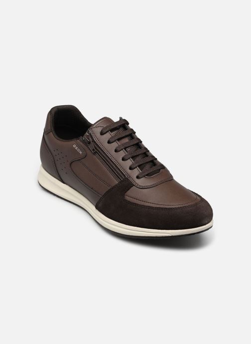 Geox Baskets basses U AVERY homme marron