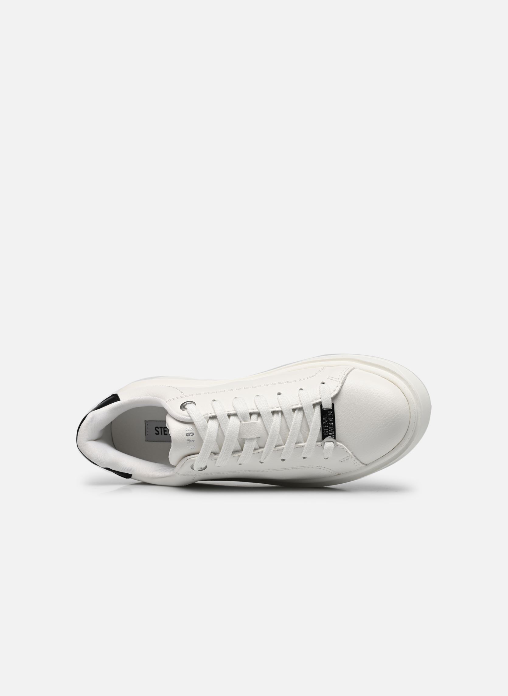 Niedrige Sneaker Catcher damen schwarz Steve Madden Niedrige Sneaker Catcher damen schwarz White/black