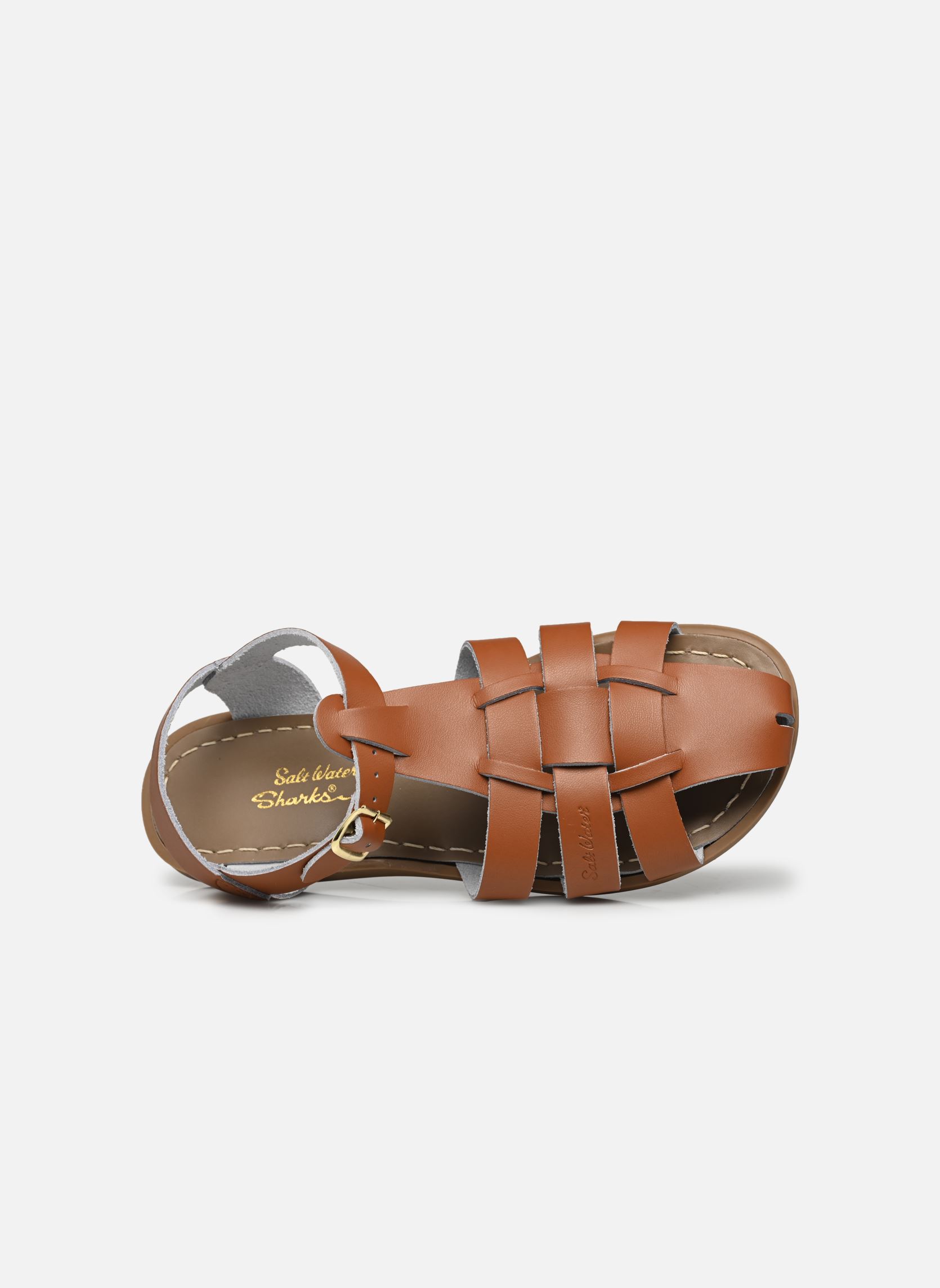 Sandales SW SHARK ADULT femme marron Salt-Water Sandales SW SHARK ADULT femme marron TAN