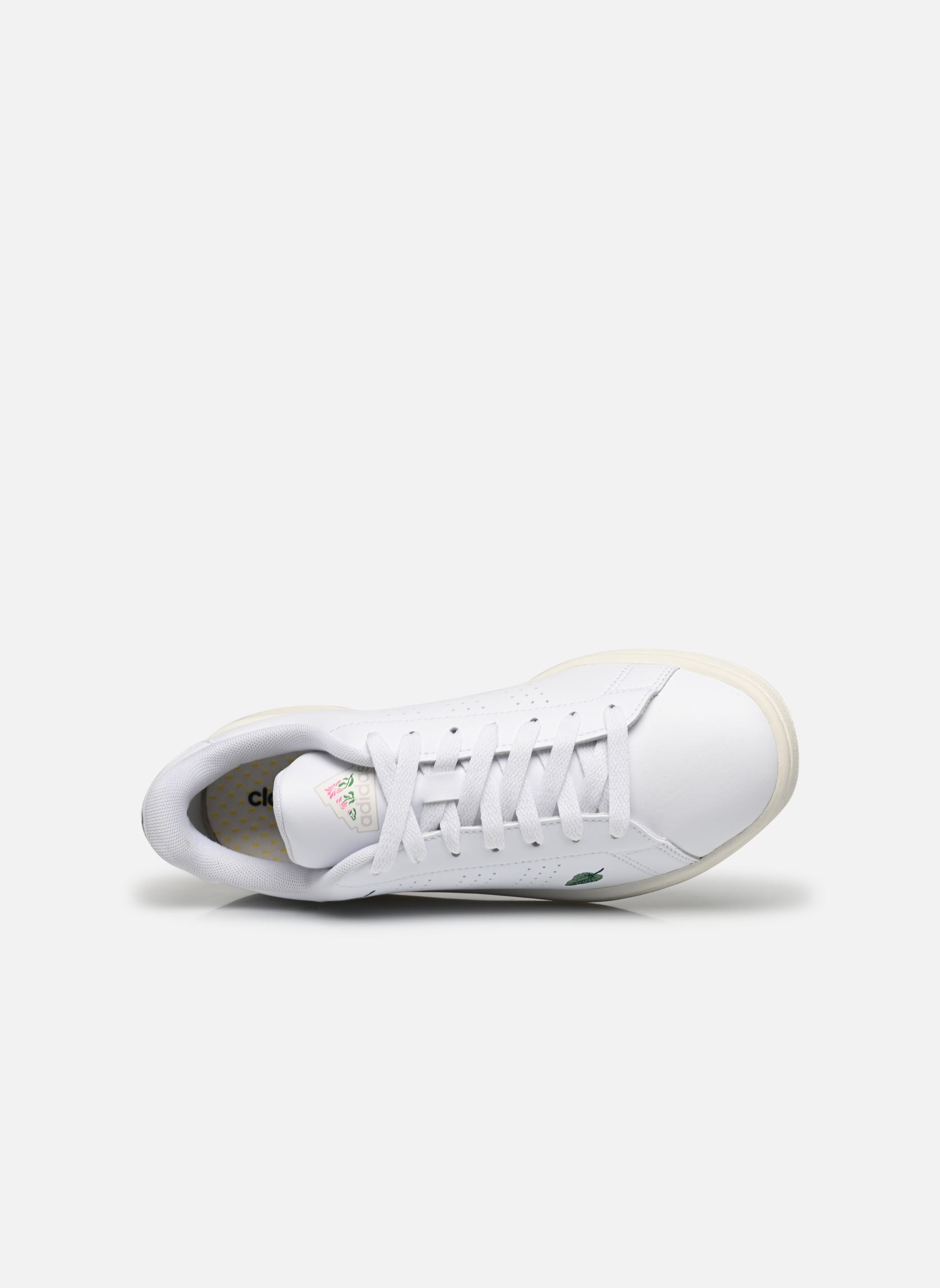 Baskets basses Advantage femme blanc adidas sportswear Baskets basses Advantage femme blanc FTWWHT/FTWWHT/OWHITE