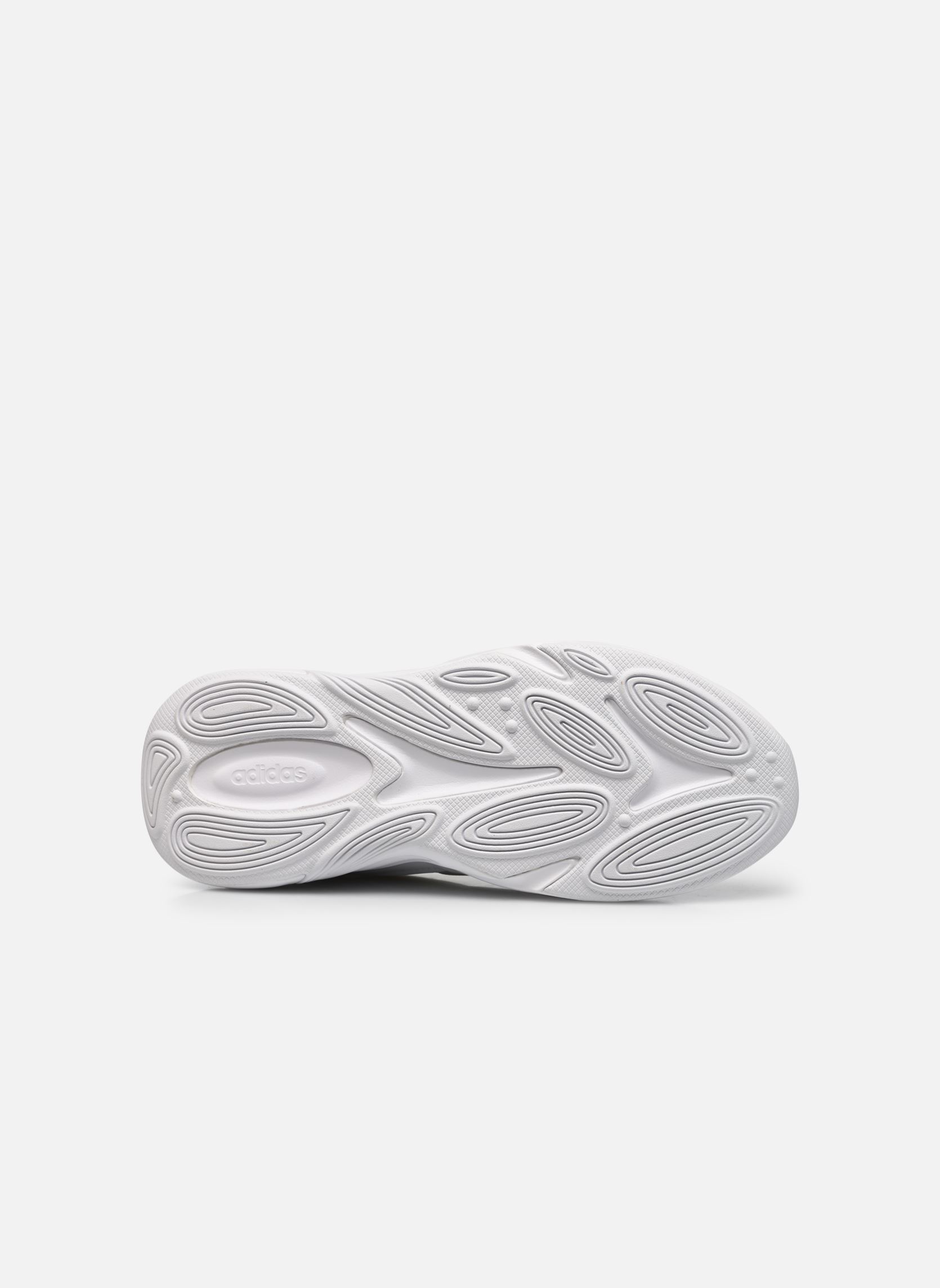 Niedrige Sneaker Ozelle damen weiß adidas sportswear Niedrige Sneaker Ozelle damen weiß FTWWHT/FTWWHT/MAGOLD
