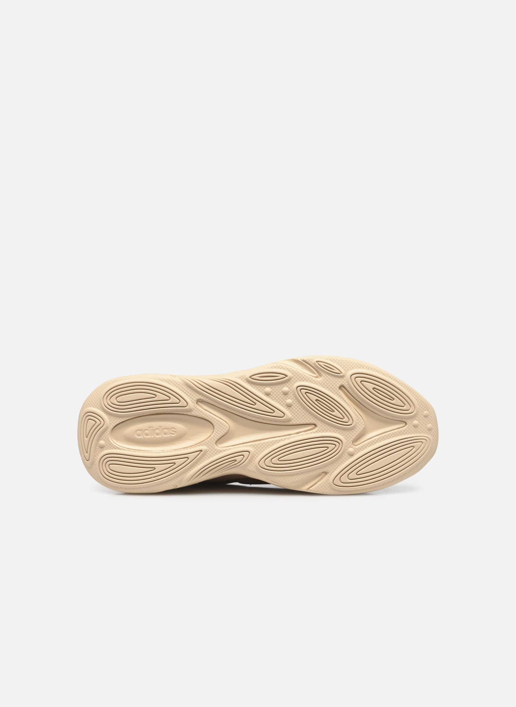 Baskets basses Ozelle femme beige adidas sportswear Baskets basses Ozelle femme beige MAGBEI/MAGBEI/SANSTR