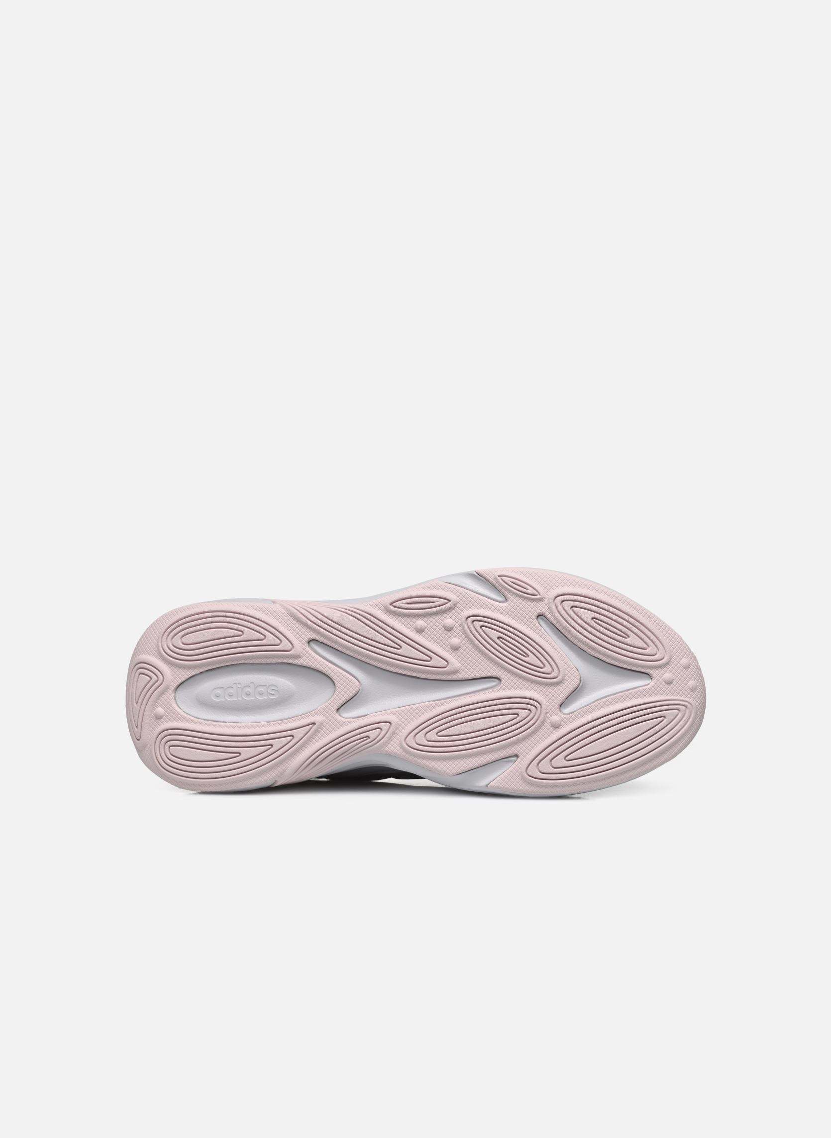 Niedrige Sneaker Ozelle damen grau adidas sportswear Niedrige Sneaker Ozelle damen grau DSHGRY/DSHGRY/ALMPNK