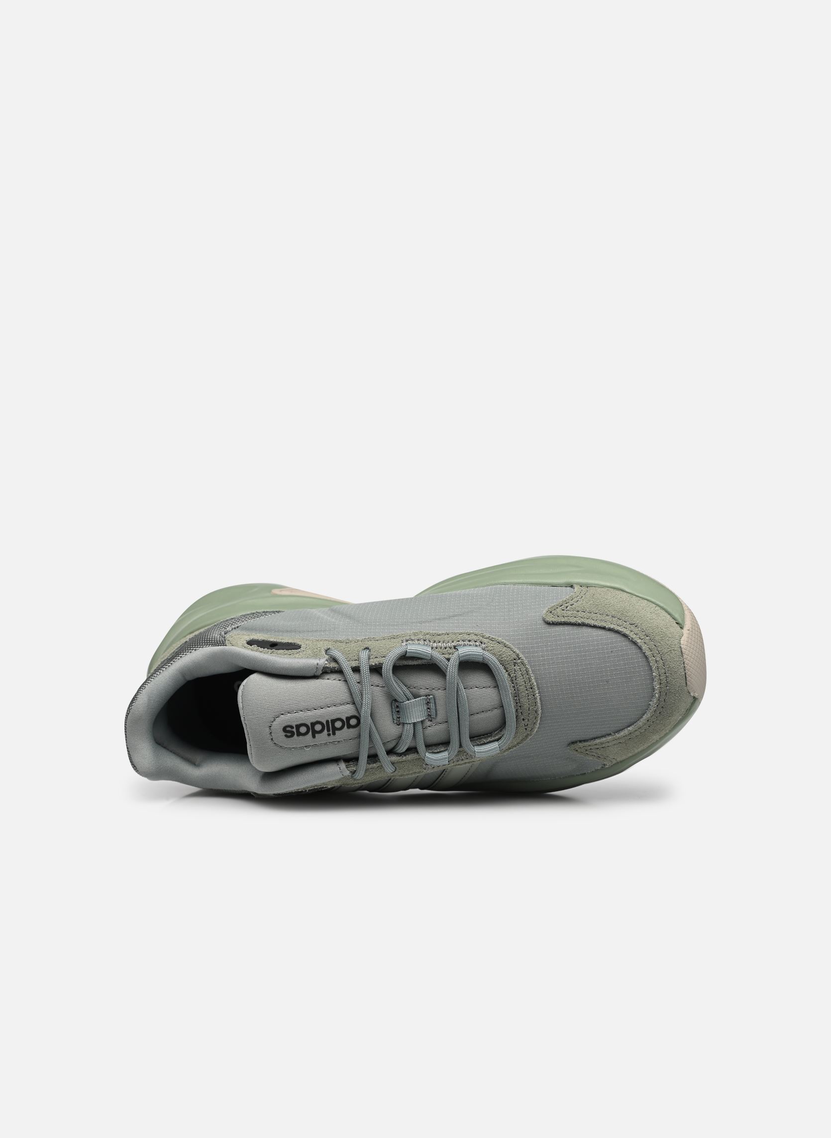Baskets basses Ozelle vert adidas sportswear Baskets basses Ozelle vert SILGRN/SILGRN/CARBON