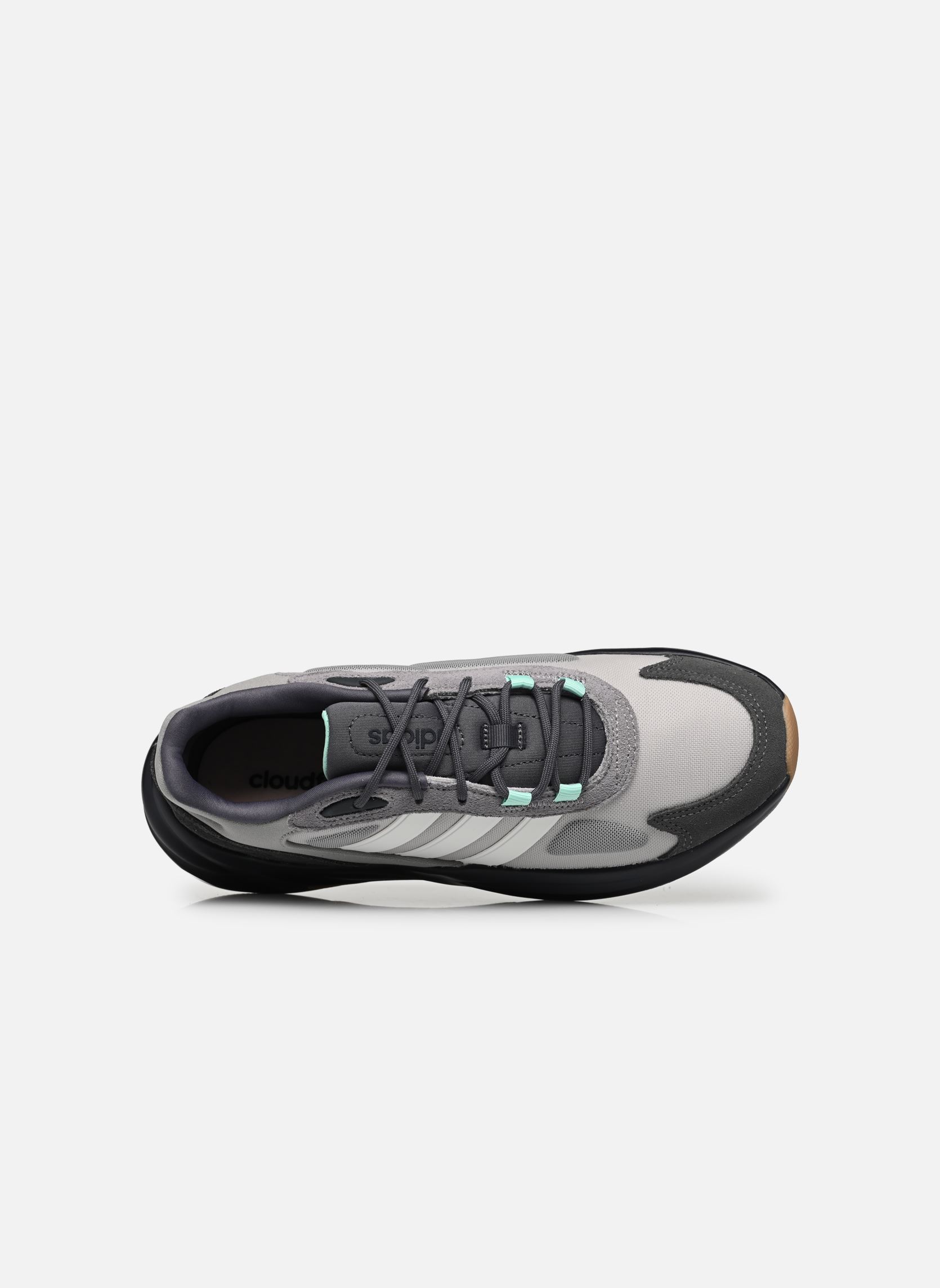 Niedrige Sneaker Ozelle M herren grau adidas sportswear Niedrige Sneaker Ozelle M herren grau GREONE/CWHITE/PULMIN