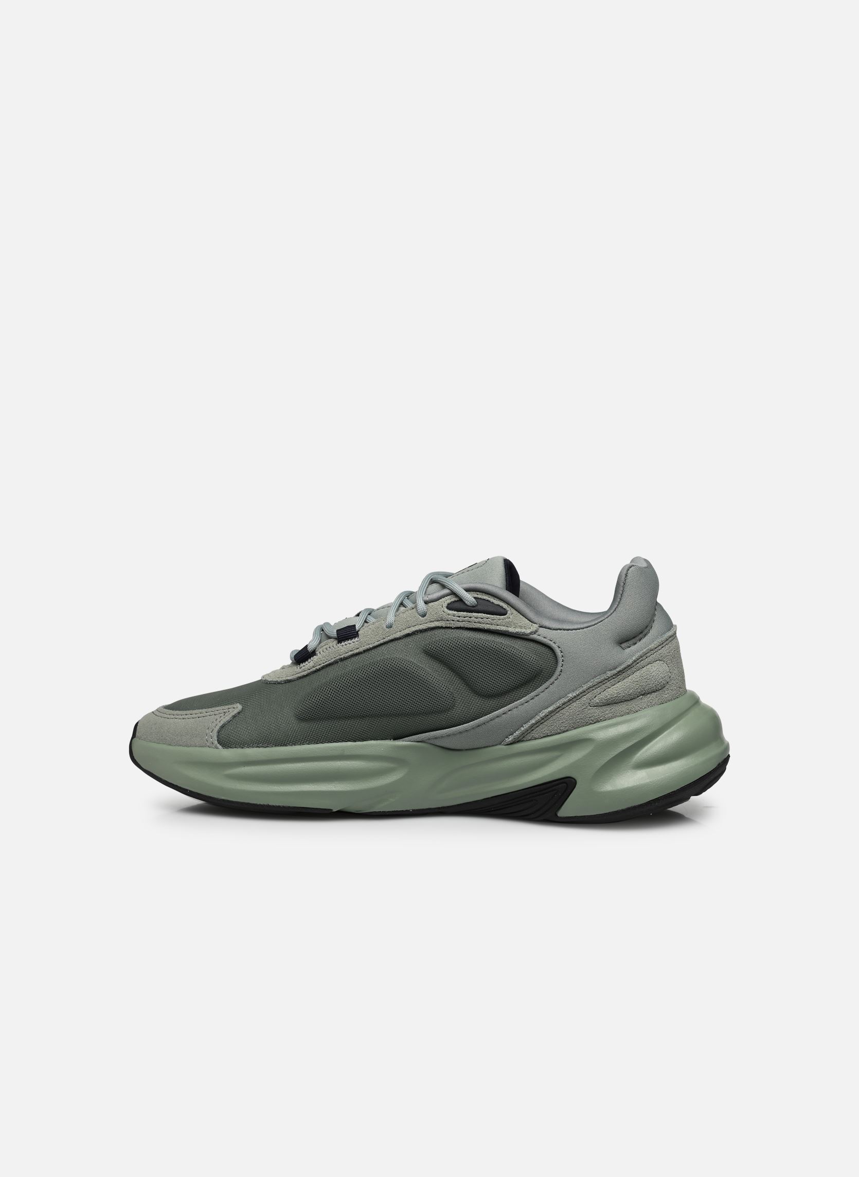 Niedrige Sneaker Ozelle M herren grün adidas sportswear Niedrige Sneaker Ozelle M herren grün SILGRN/SILGRN/BLBLME
