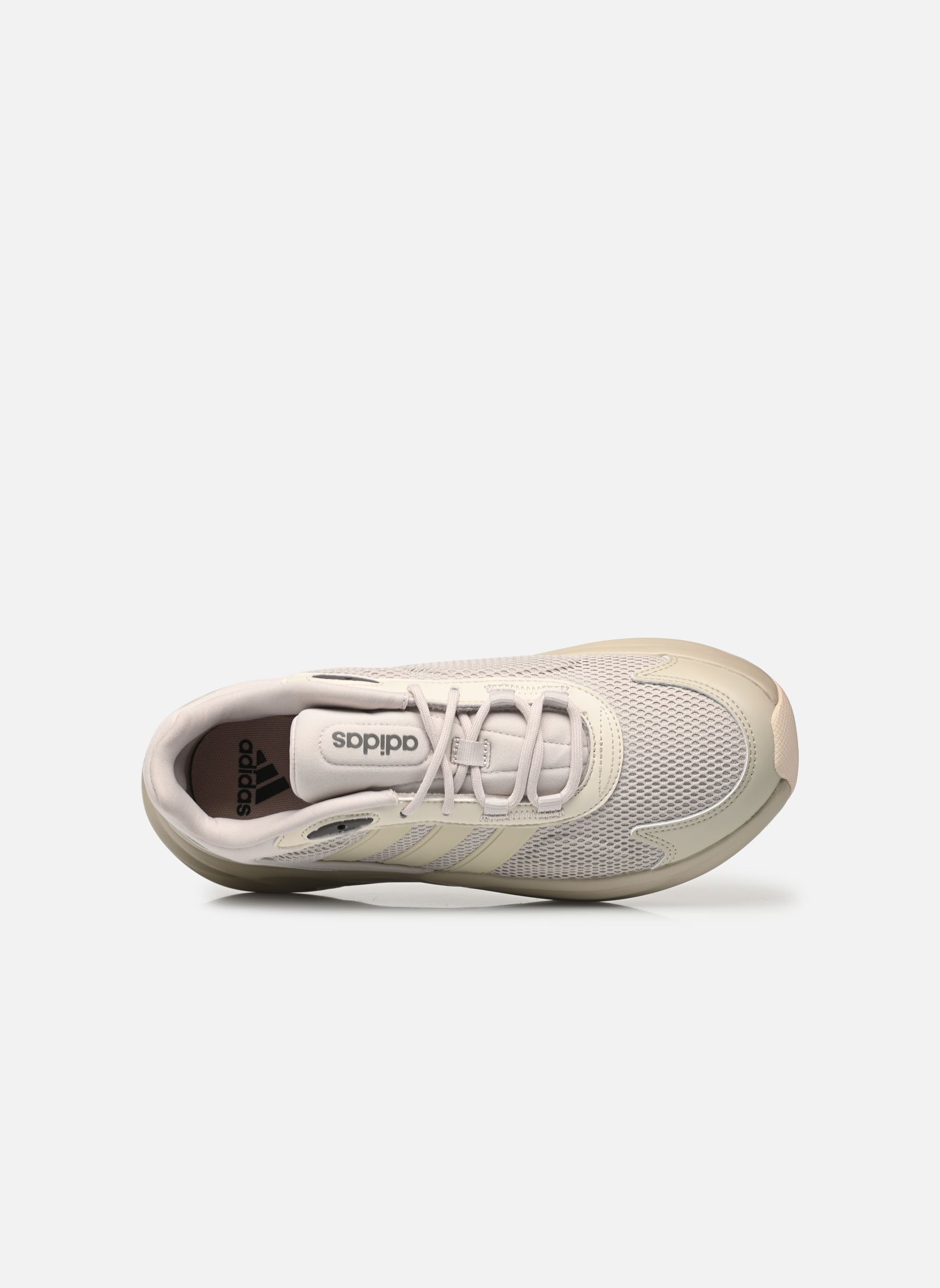 Niedrige Sneaker Ozelle M herren beige adidas sportswear Niedrige Sneaker Ozelle M herren beige PUTGRE/ALUMIN/CHACOA