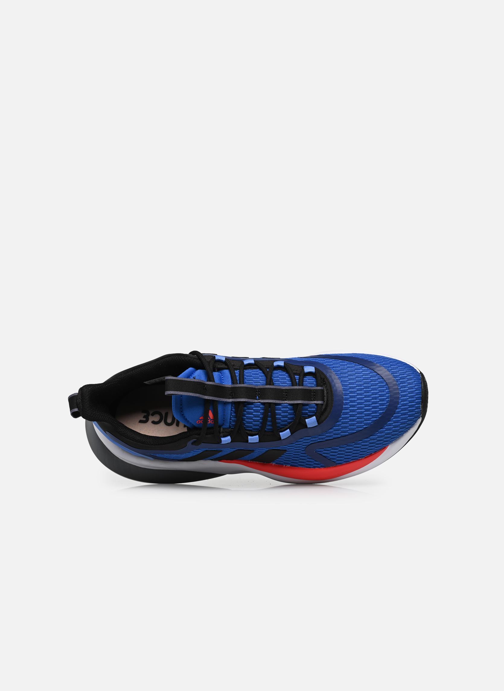 Baskets basses Alphabounce + M homme bleu adidas sportswear Baskets basses Alphabounce + M homme bleu ROYBLU/CBLACK/BRIRED