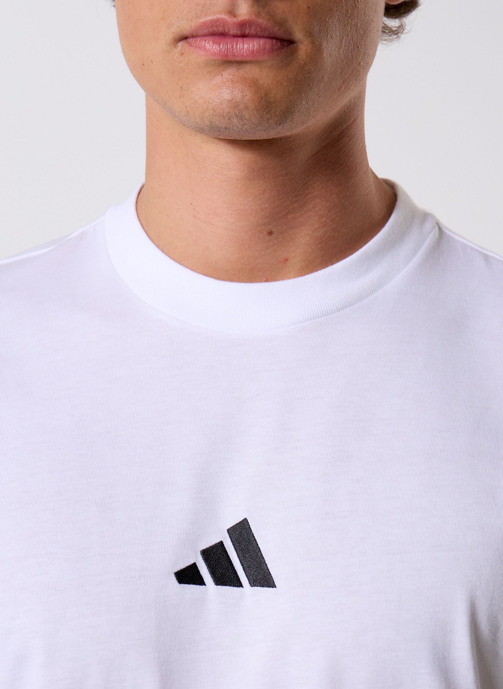 Tee-shirts M Sl Sj T homme blanc adidas sportswear Tee-shirts M Sl Sj T homme blanc WHITE