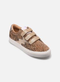 Baskets basses Toundra femme vert