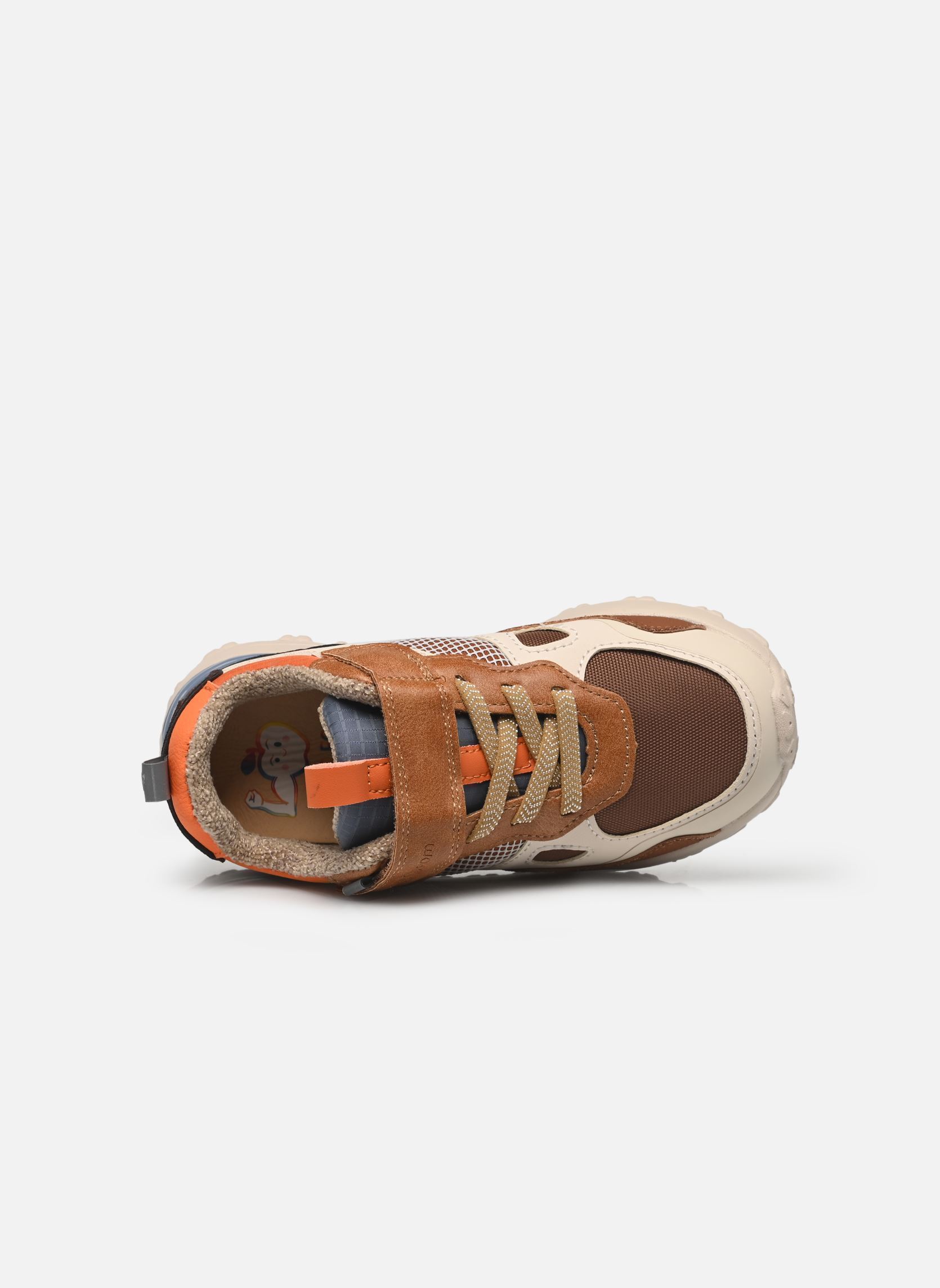 Baskets basses Joggy Scratch garçon multicolore Shoo Pom Baskets basses Joggy Scratch garçon multicolore Camel-Off White-Oran