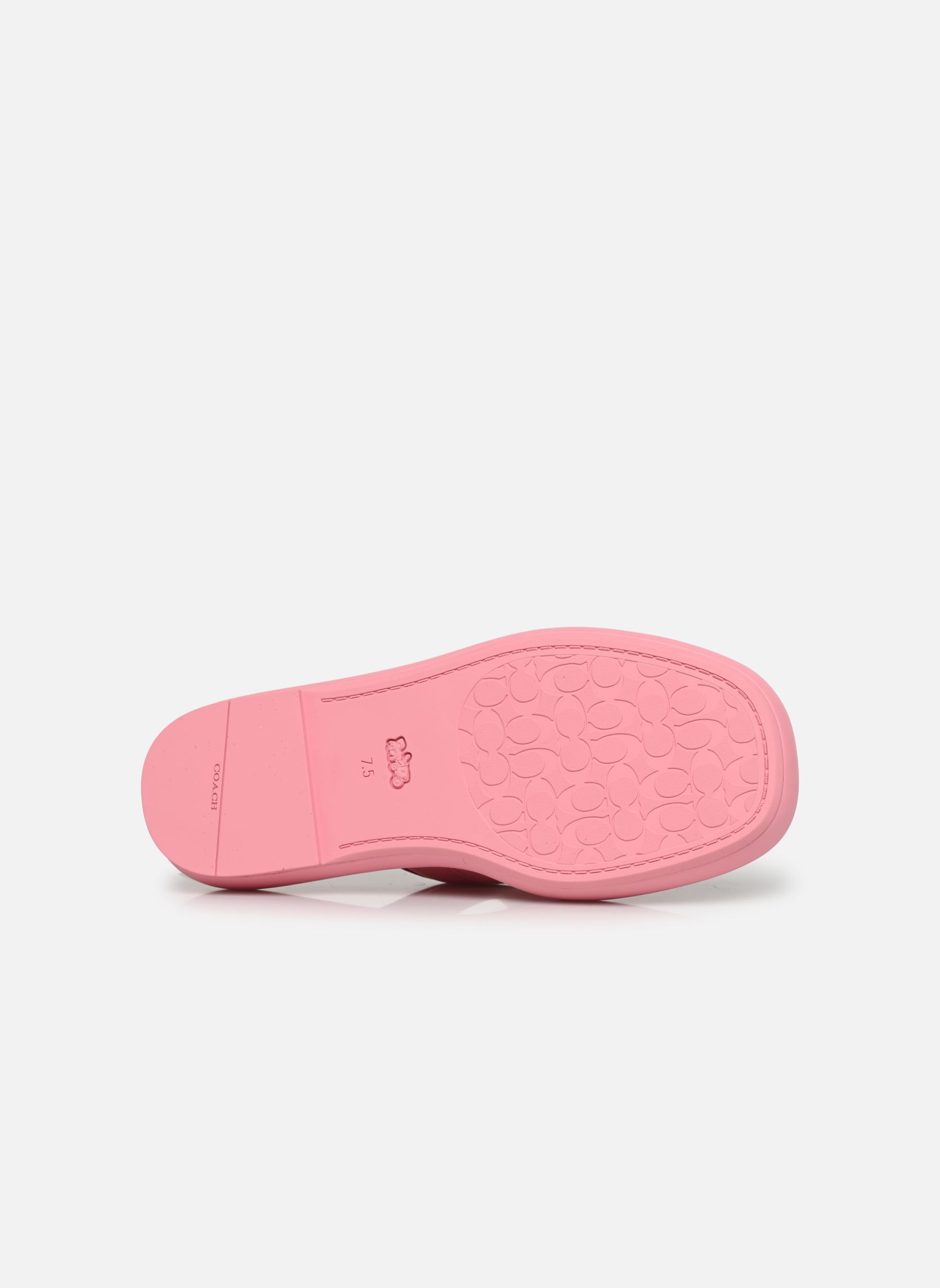 Muilen Sylvie dames roze Coach Muilen Sylvie dames roze FLOWER PINK