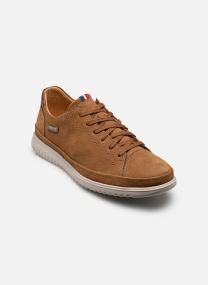 Baskets basses THOMAS homme marron