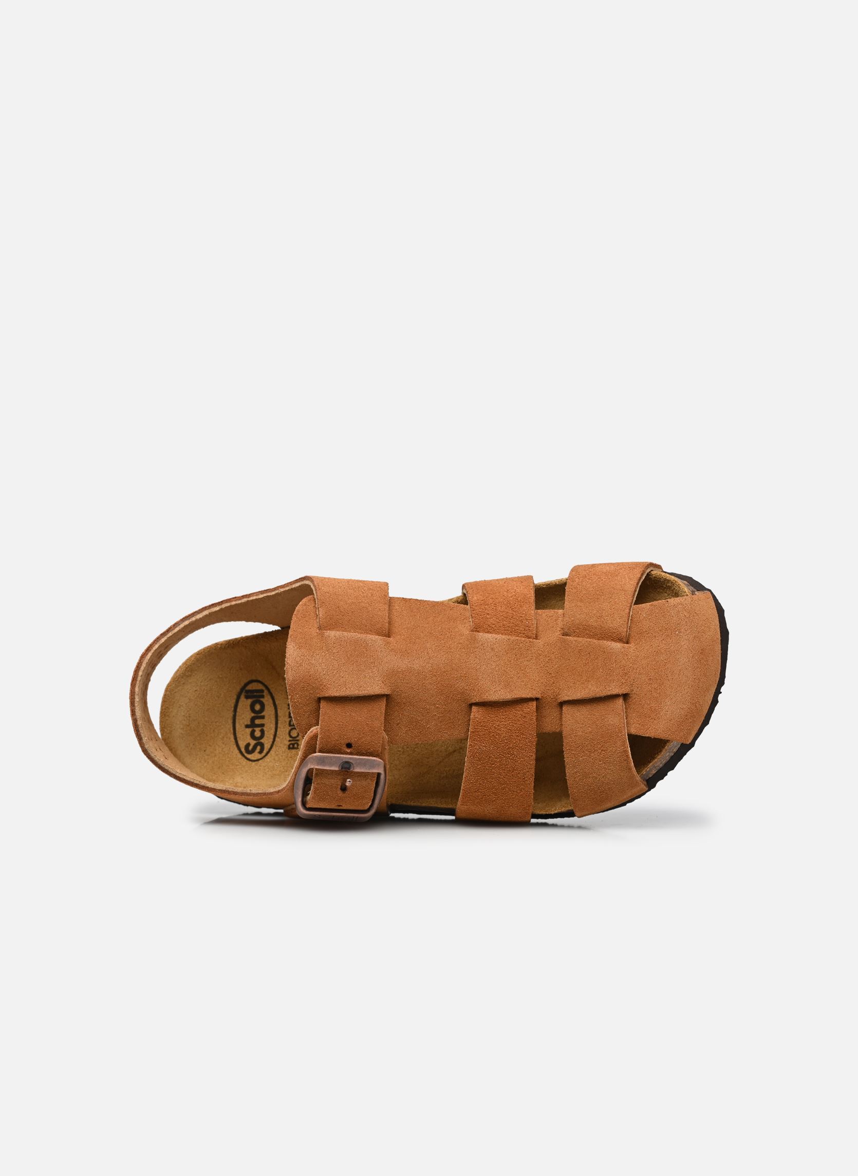 Sandalias BAT COLLECTION marrón Scholl Sandalias BAT COLLECTION marrón BROWN