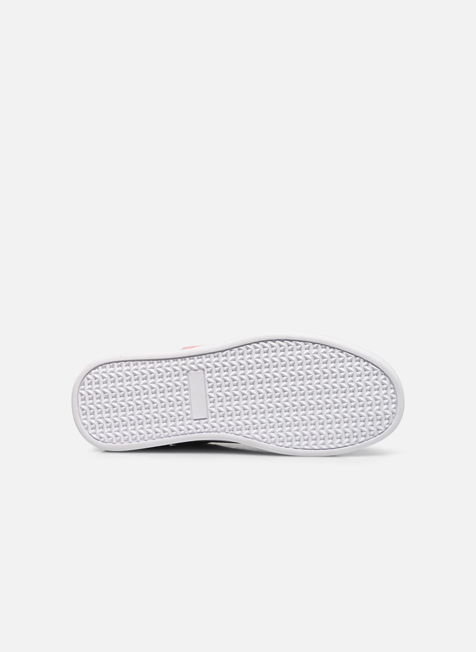 basket liberto femme