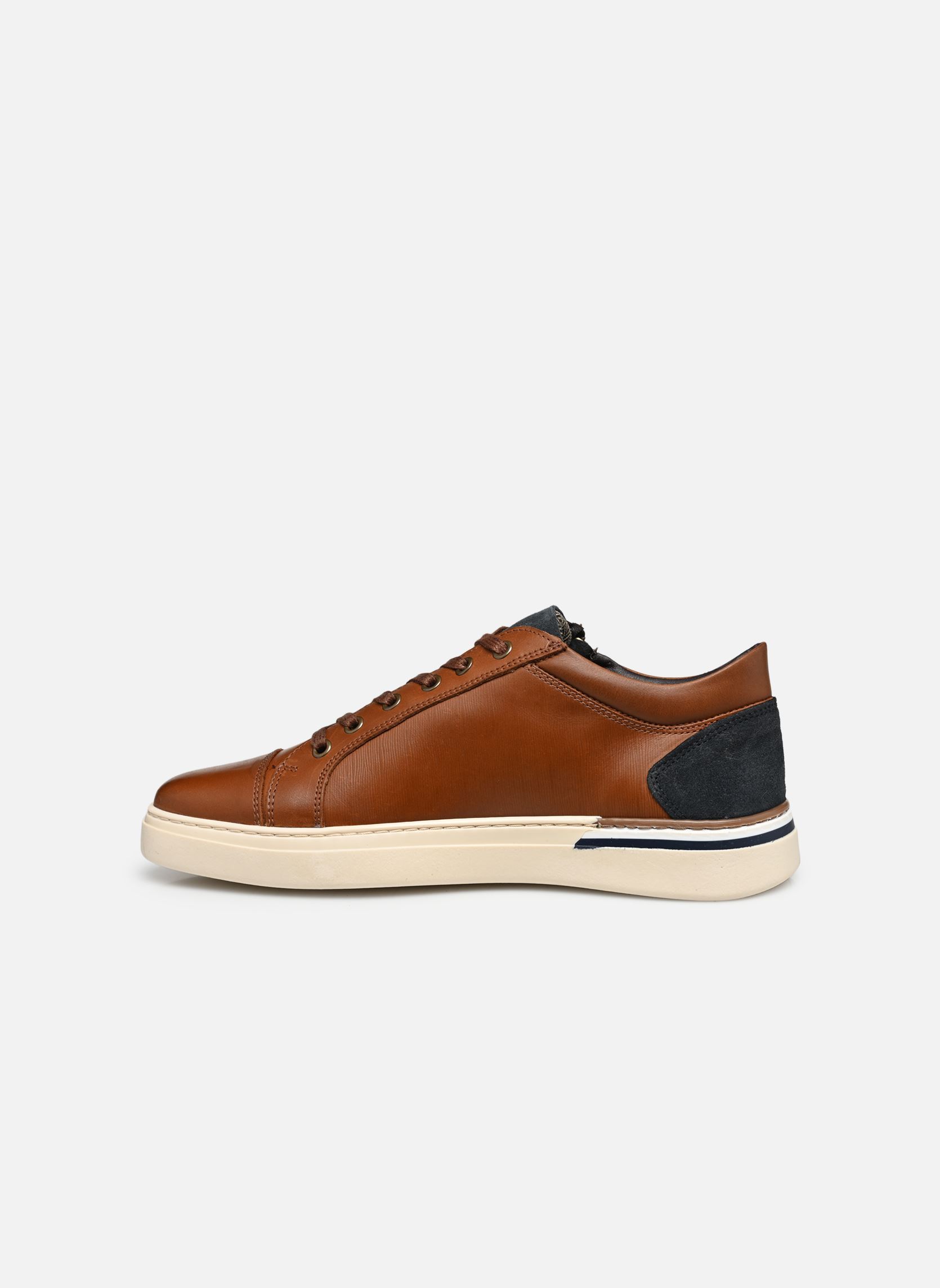 Sneakers basse Walpo uomo marrone Marvin&Co Sneakers basse Walpo uomo marrone Cognac