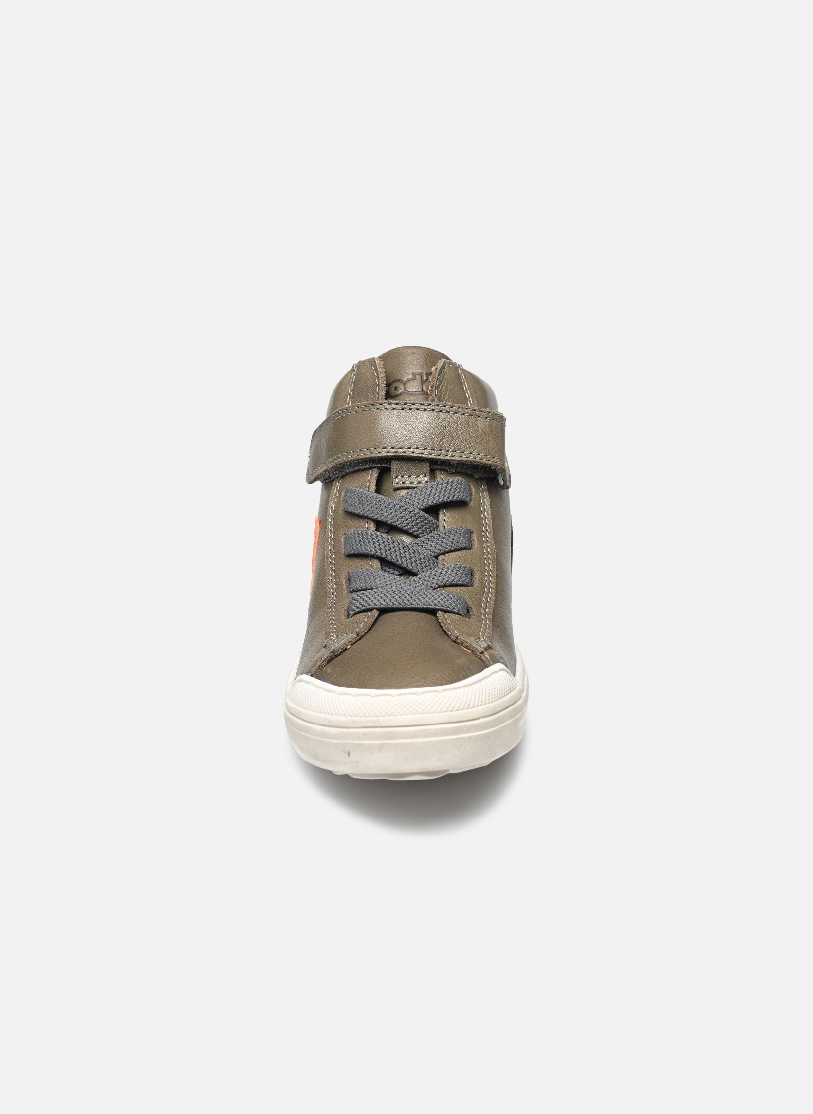 Knöchelhohe Sneaker Aster jungen grün Froddo Knöchelhohe Sneaker Aster jungen grün DARK GREEN