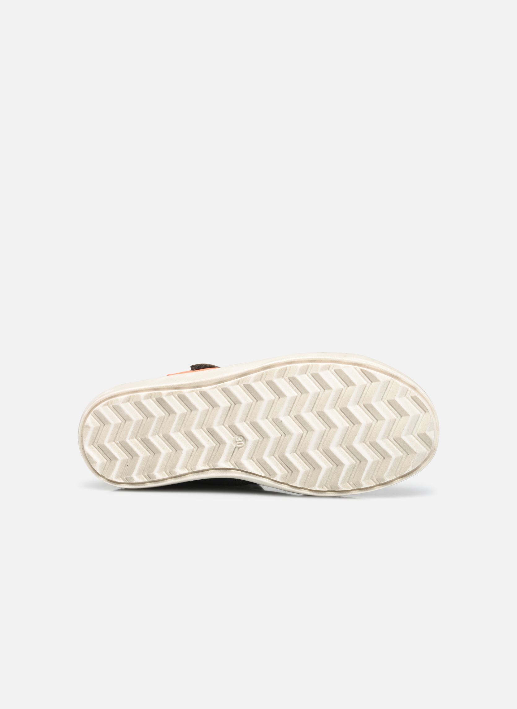 Knöchelhohe Sneaker Aster jungen grün Froddo Knöchelhohe Sneaker Aster jungen grün DARK GREEN