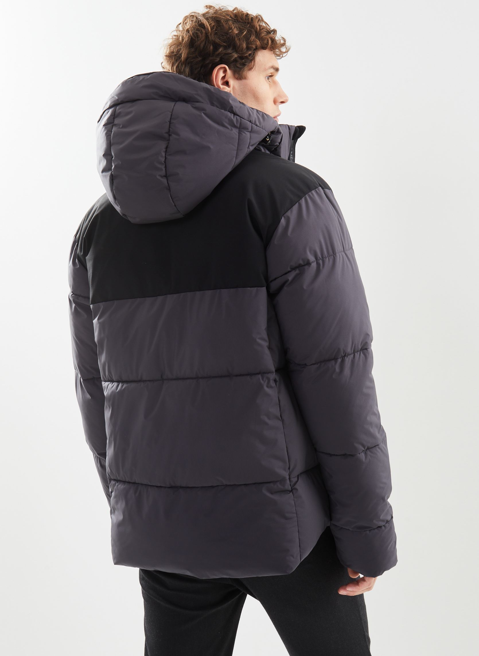 Gewatteerde jassen BRISTOL heren grijs Icepeak Gewatteerde jassen BRISTOL heren grijs Anthracite
