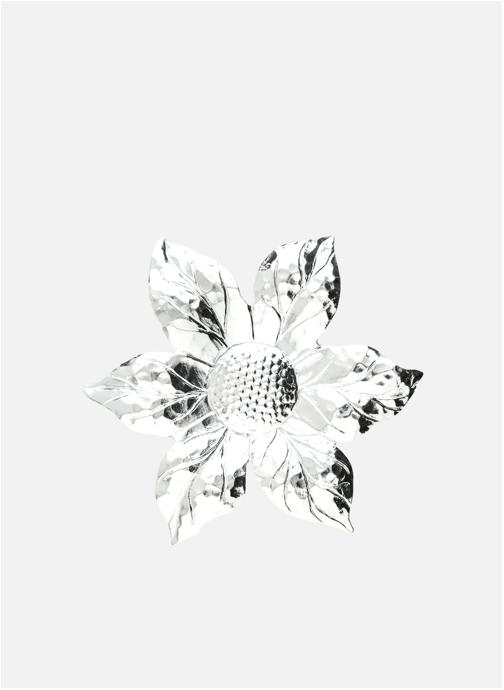 Monsieur Simone Broches femme argent