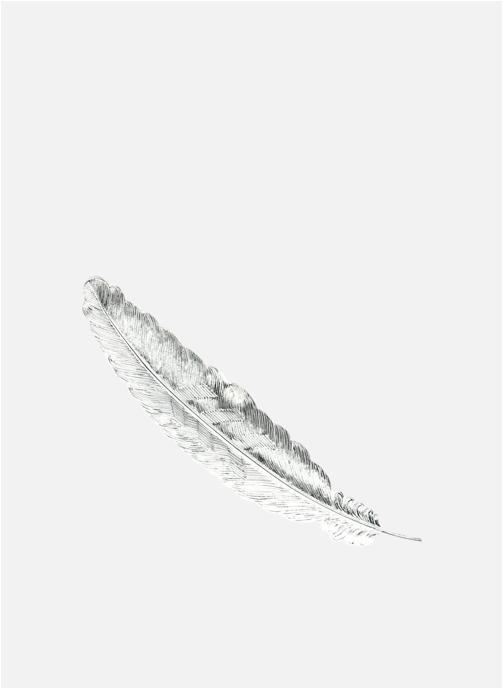 Monsieur Simone Broches femme argent