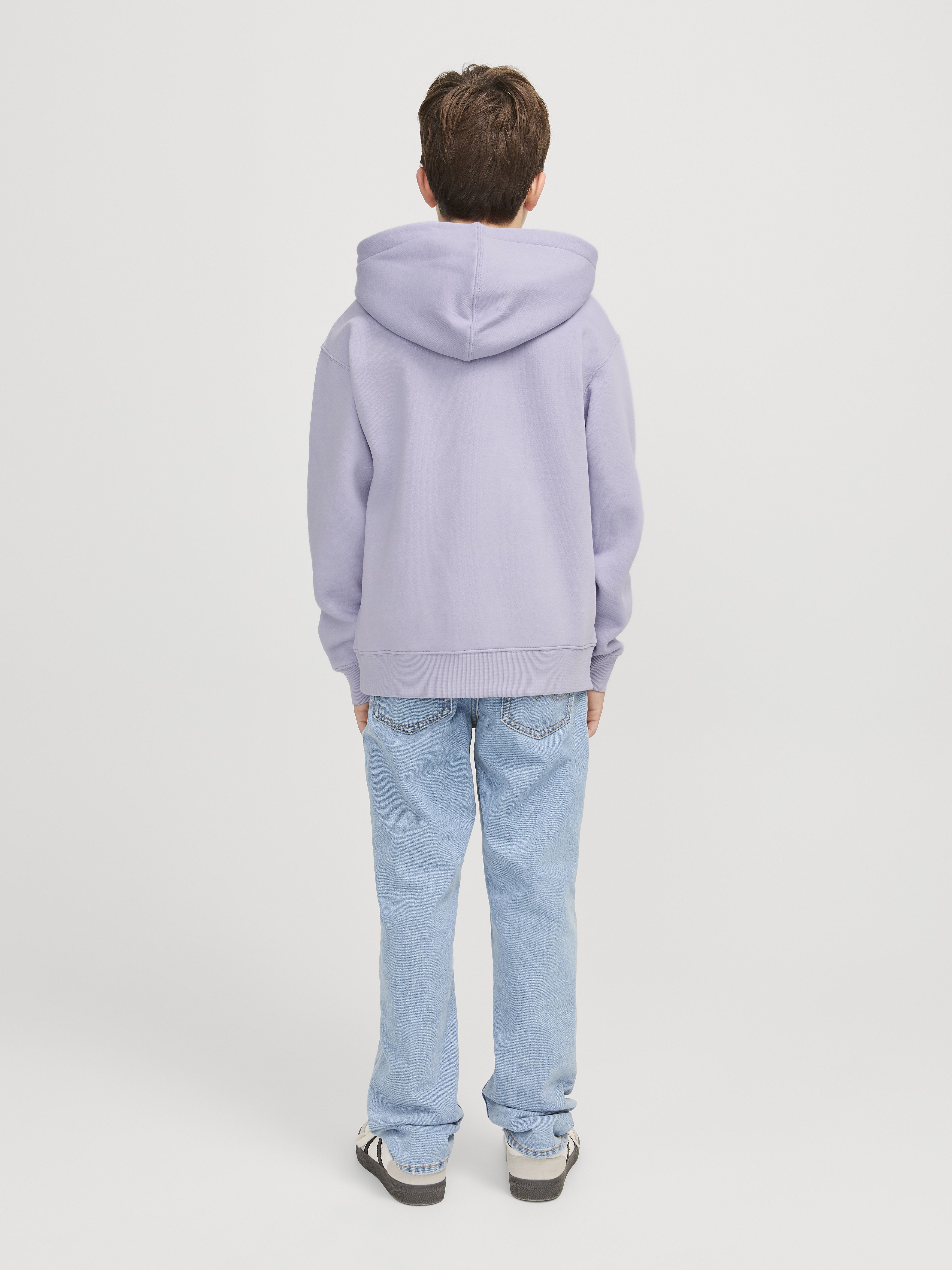 Sweats à capuche Jjestar Jj Sweat Hood Noos Jnr garçon violet Jack & Jones Sweats à capuche Jjestar Jj Sweat Hood Noos Jnr garçon violet LANGUID LAVENDER