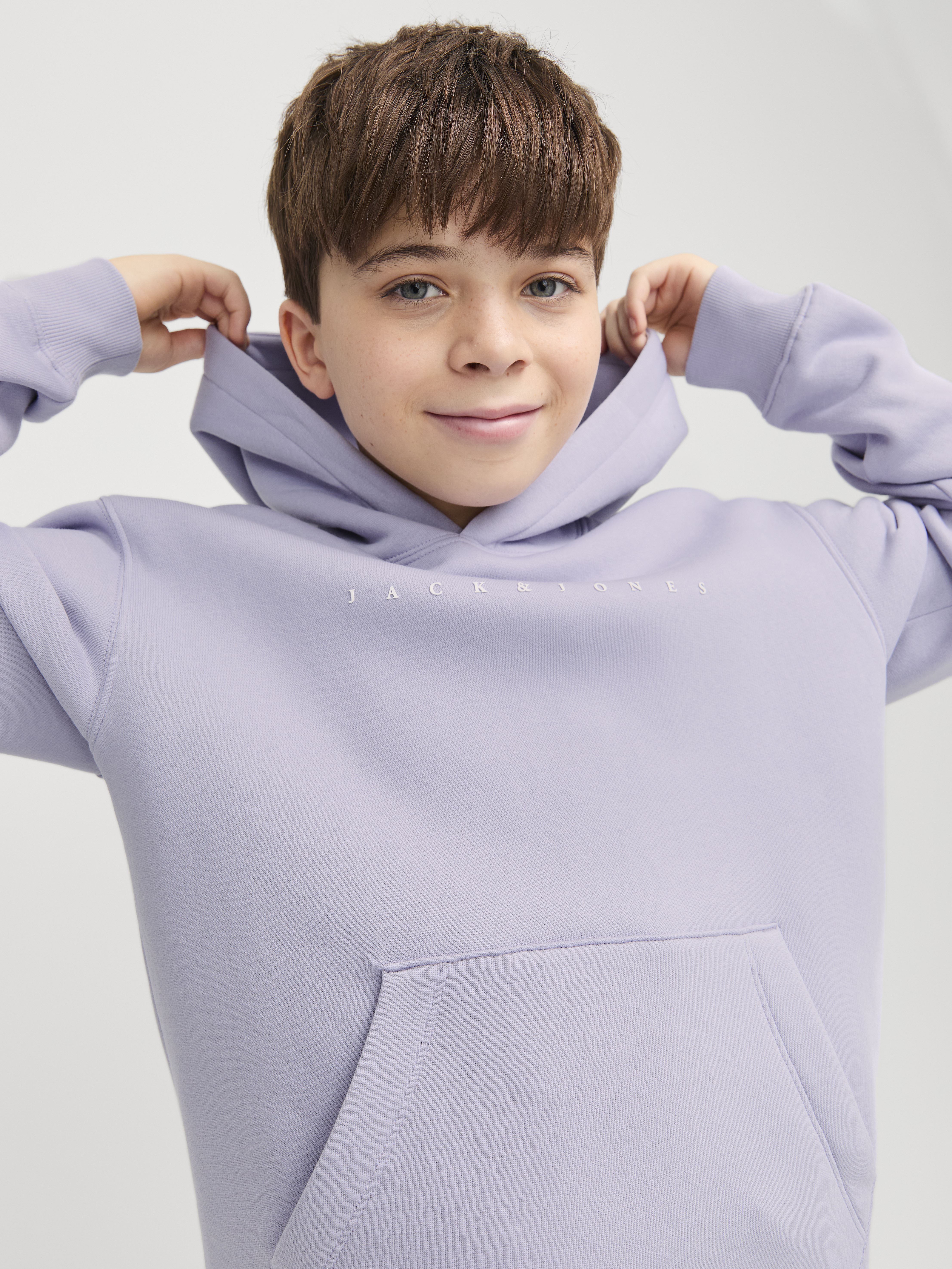 Sweats à capuche Jjestar Jj Sweat Hood Noos Jnr garçon violet Jack & Jones Sweats à capuche Jjestar Jj Sweat Hood Noos Jnr garçon violet LANGUID LAVENDER
