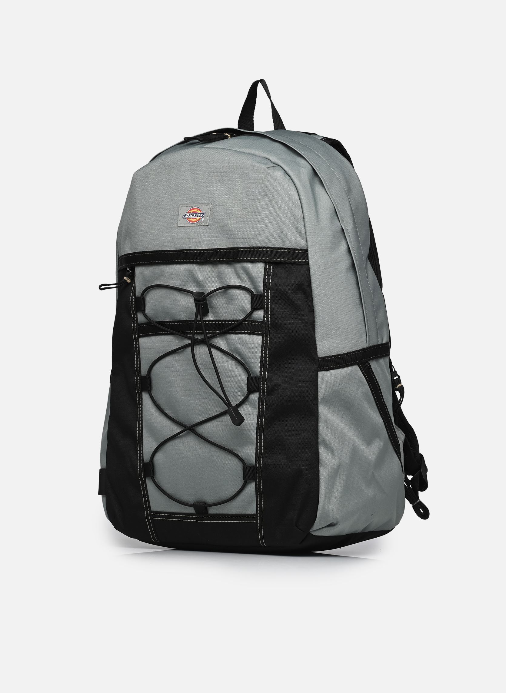 Rugtassen Ashville Backpack groen Dickies Rugtassen Ashville Backpack groen SEA SPRAY