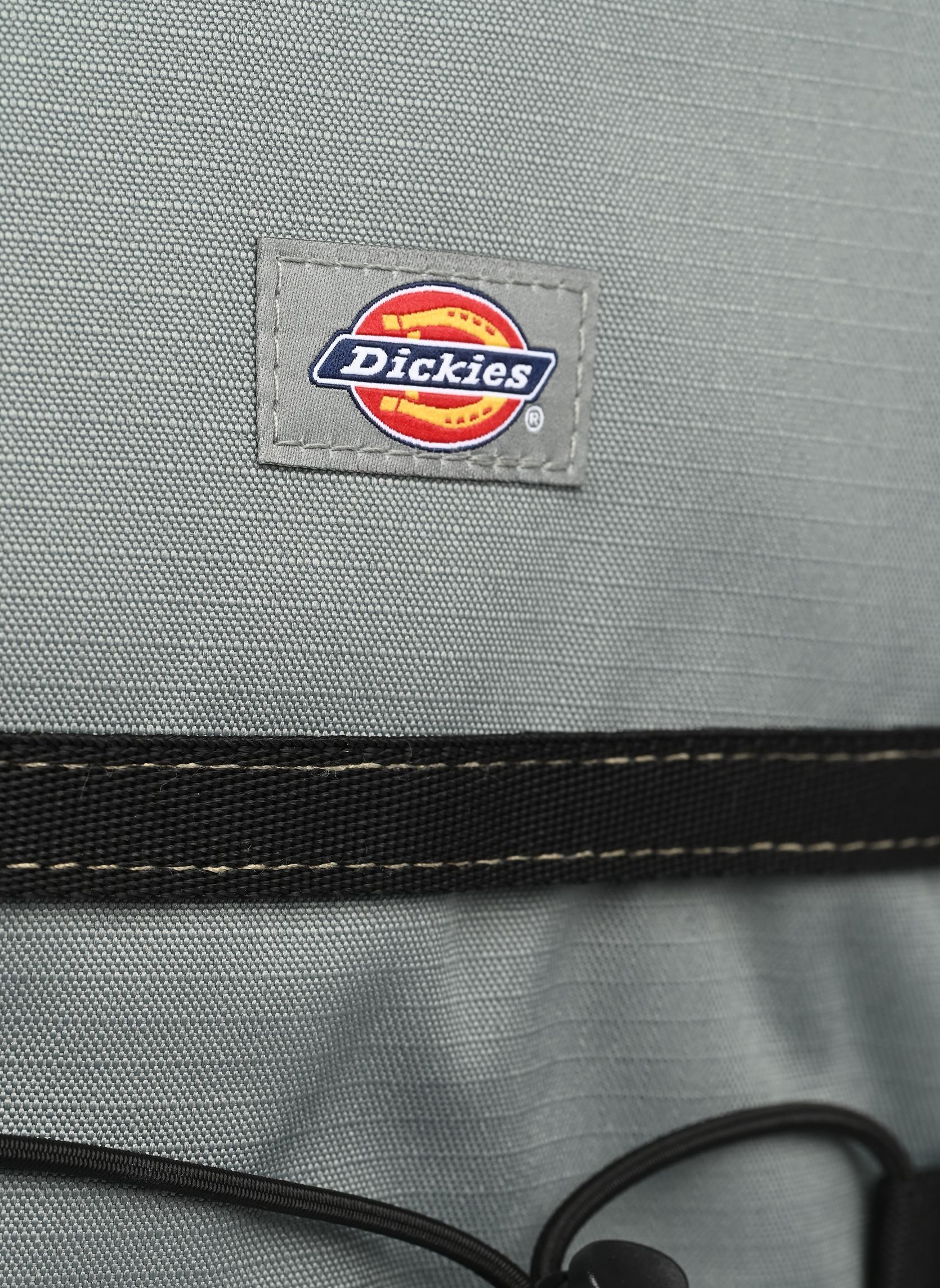 Rugtassen Ashville Backpack groen Dickies Rugtassen Ashville Backpack groen SEA SPRAY