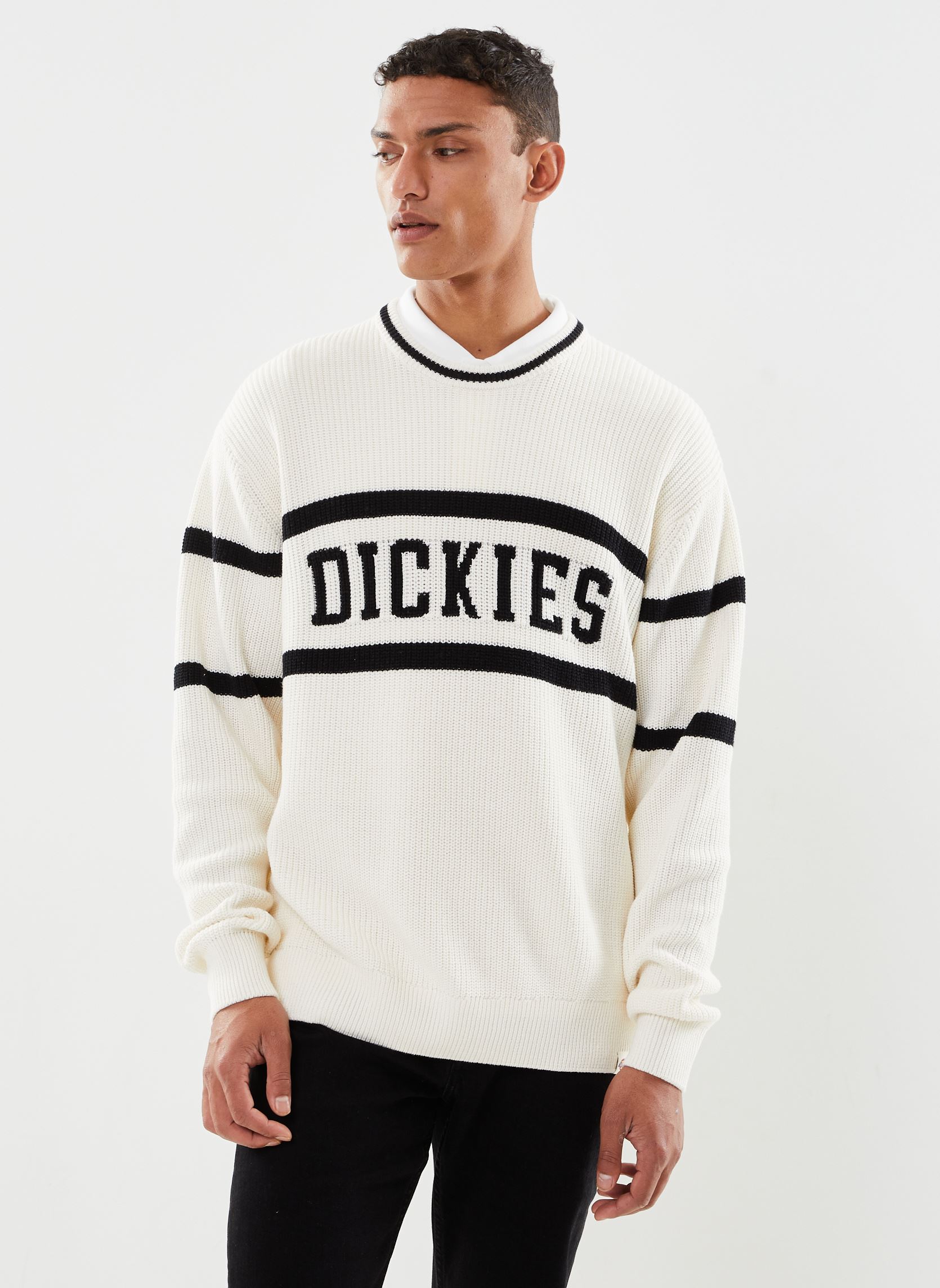 Vêtements Dickies Melvern Sweater pour Accessoires