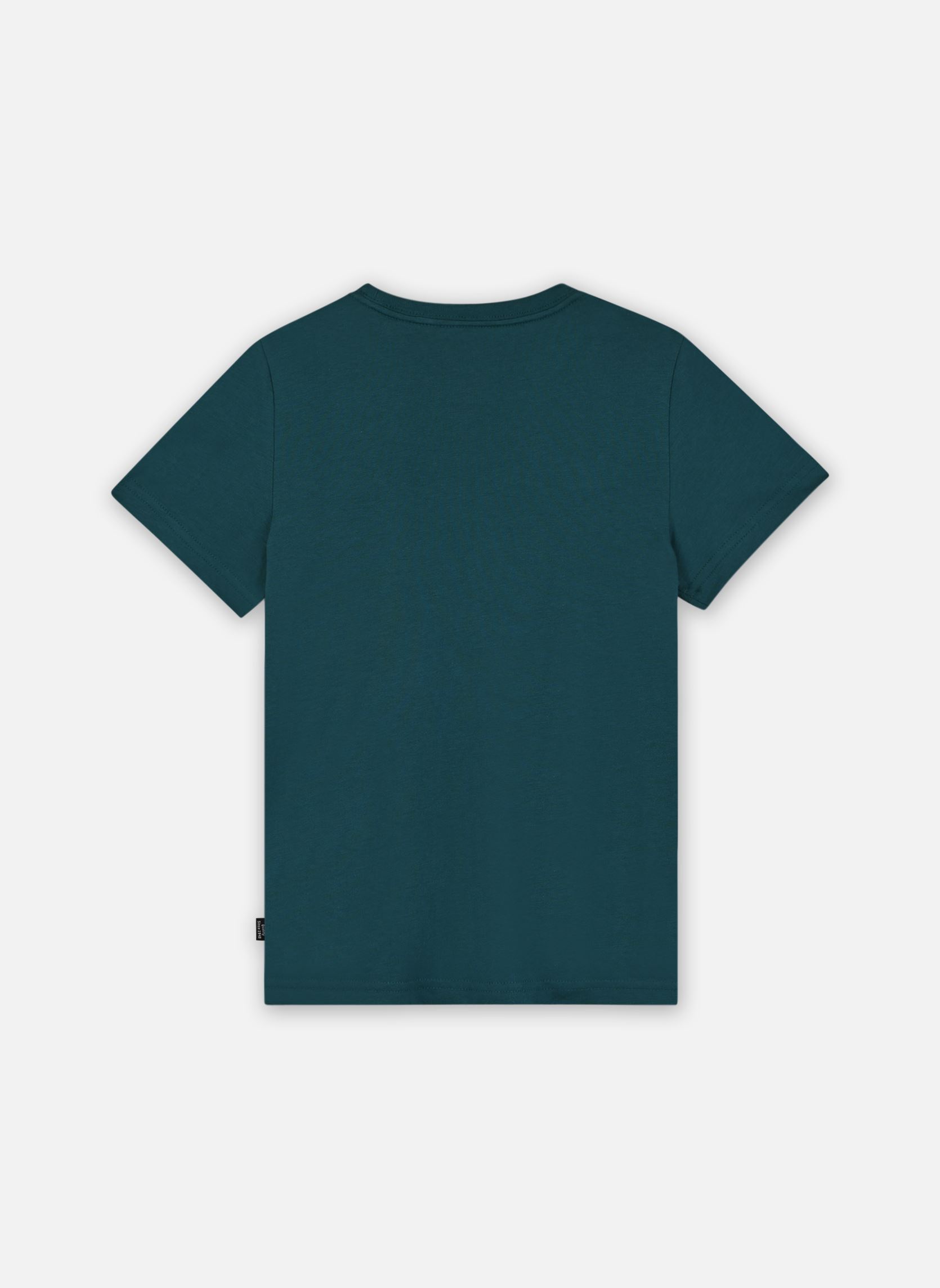 Tee-shirts manches courtes Ess+2 col Logo Tee B garçon vert Puma Tee-shirts manches courtes Ess+2 col Logo Tee B garçon vert Cold Green