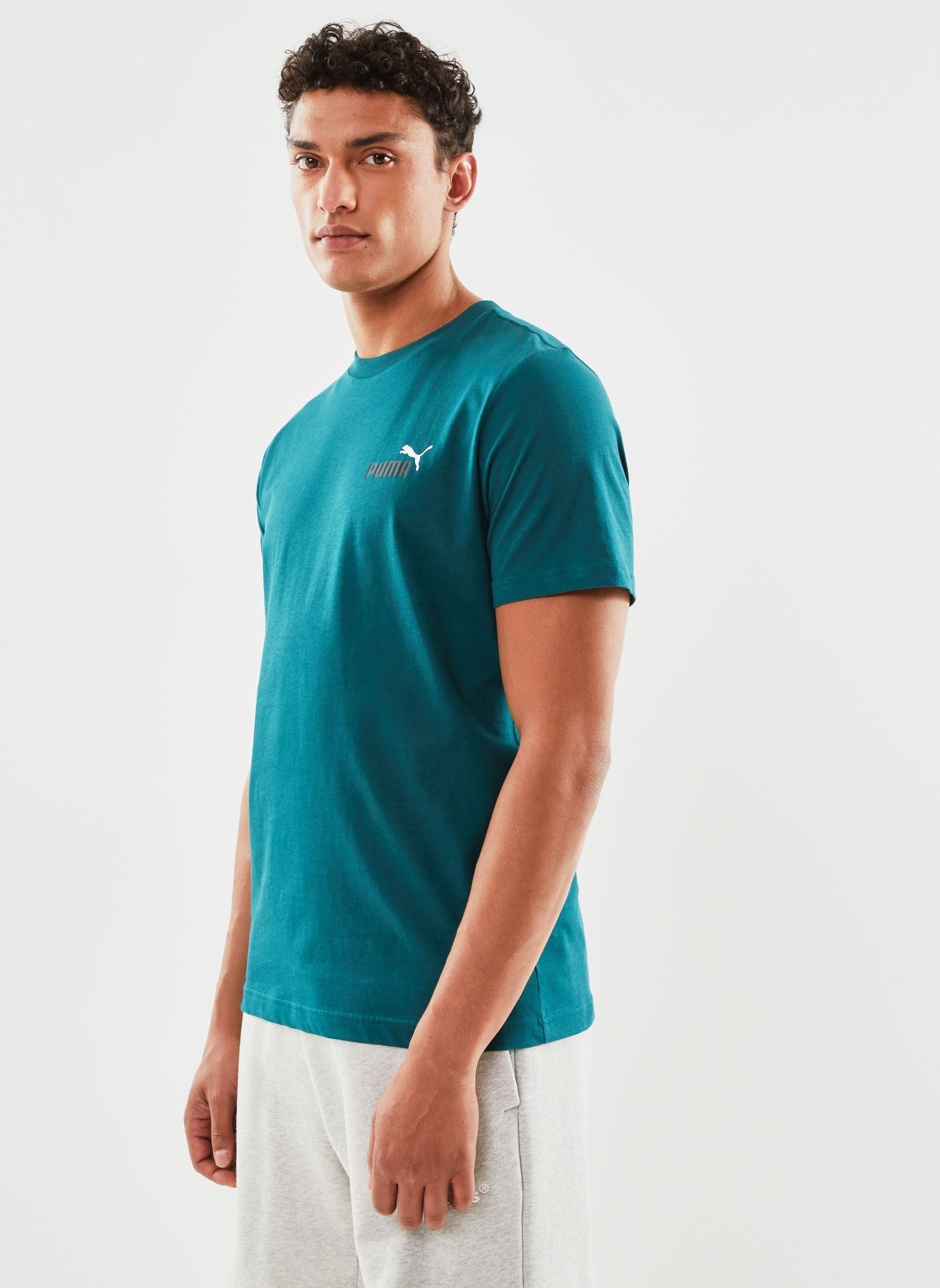 Tee-shirts manches courtes Ess+ 2 Col Small Logo Tee homme vert Puma Tee-shirts manches courtes Ess+ 2 Col Small Logo Tee homme vert Malachite