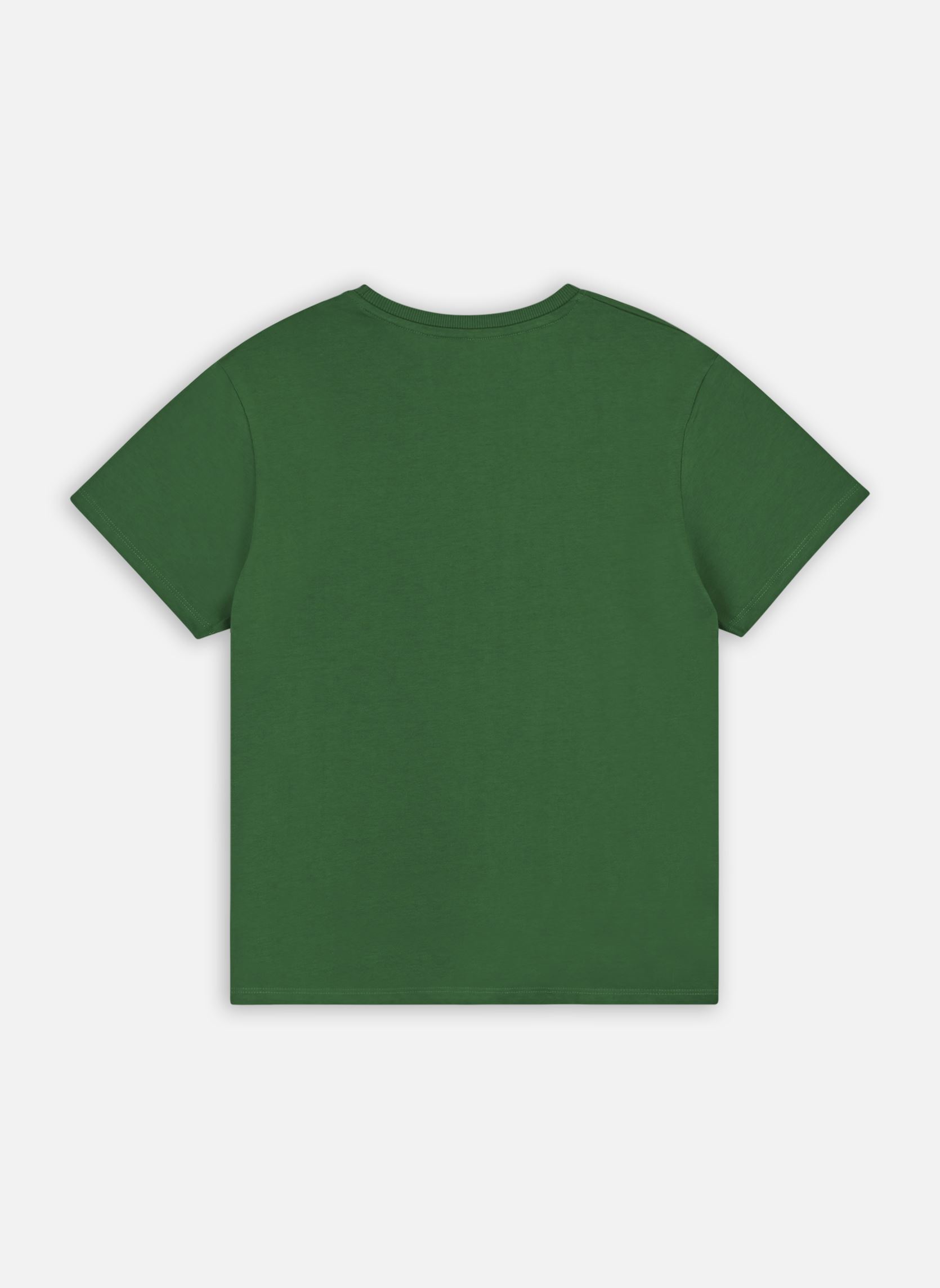 Tee-shirts manches courtes Nkfkinsy Ss Loose Top Ps fille vert Name it Tee-shirts manches courtes Nkfkinsy Ss Loose Top Ps fille vert FIRST TEE