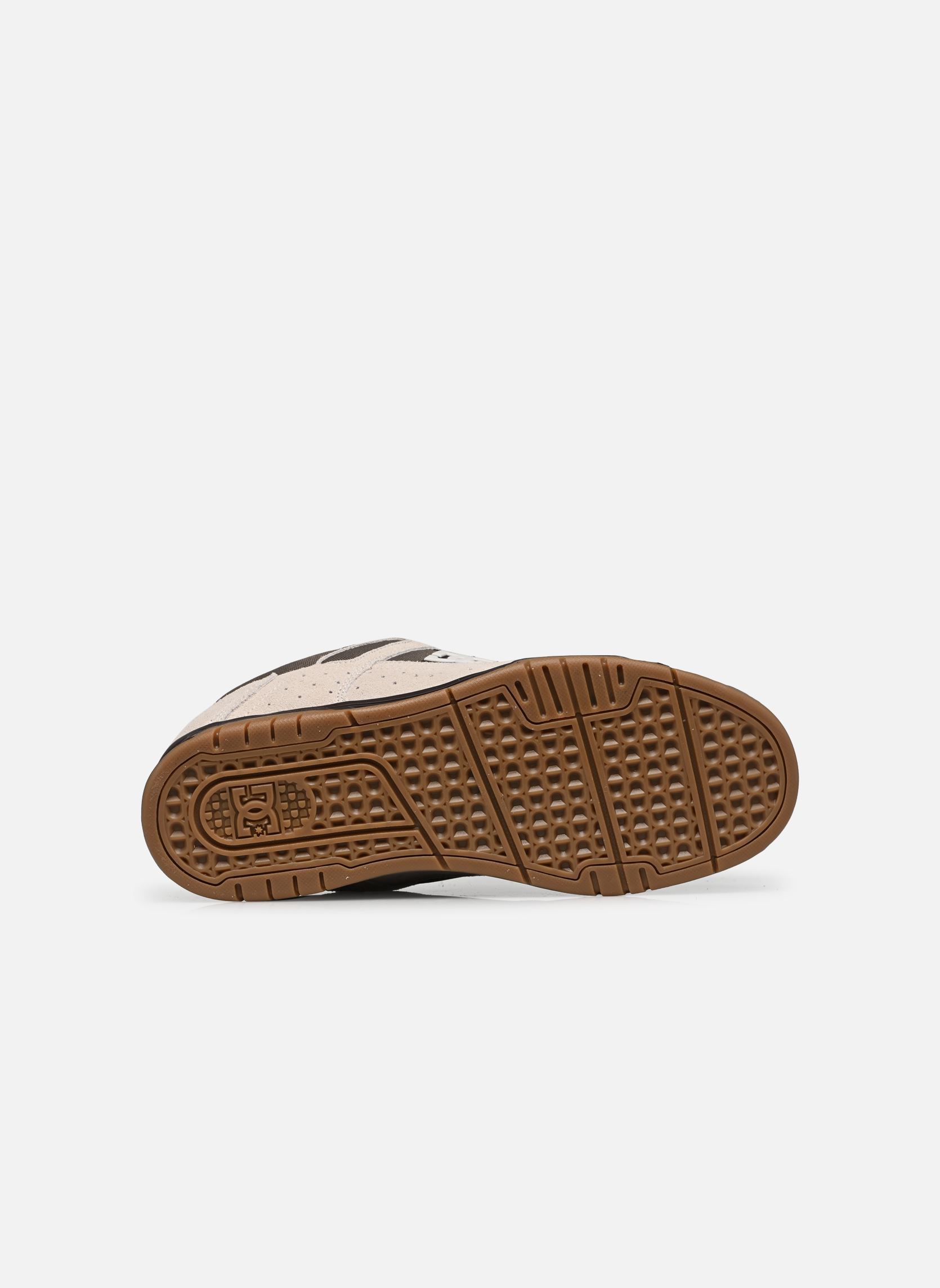 Baskets basses Stag M homme beige DC Shoes Baskets basses Stag M homme beige ESPRESSO/OAT
