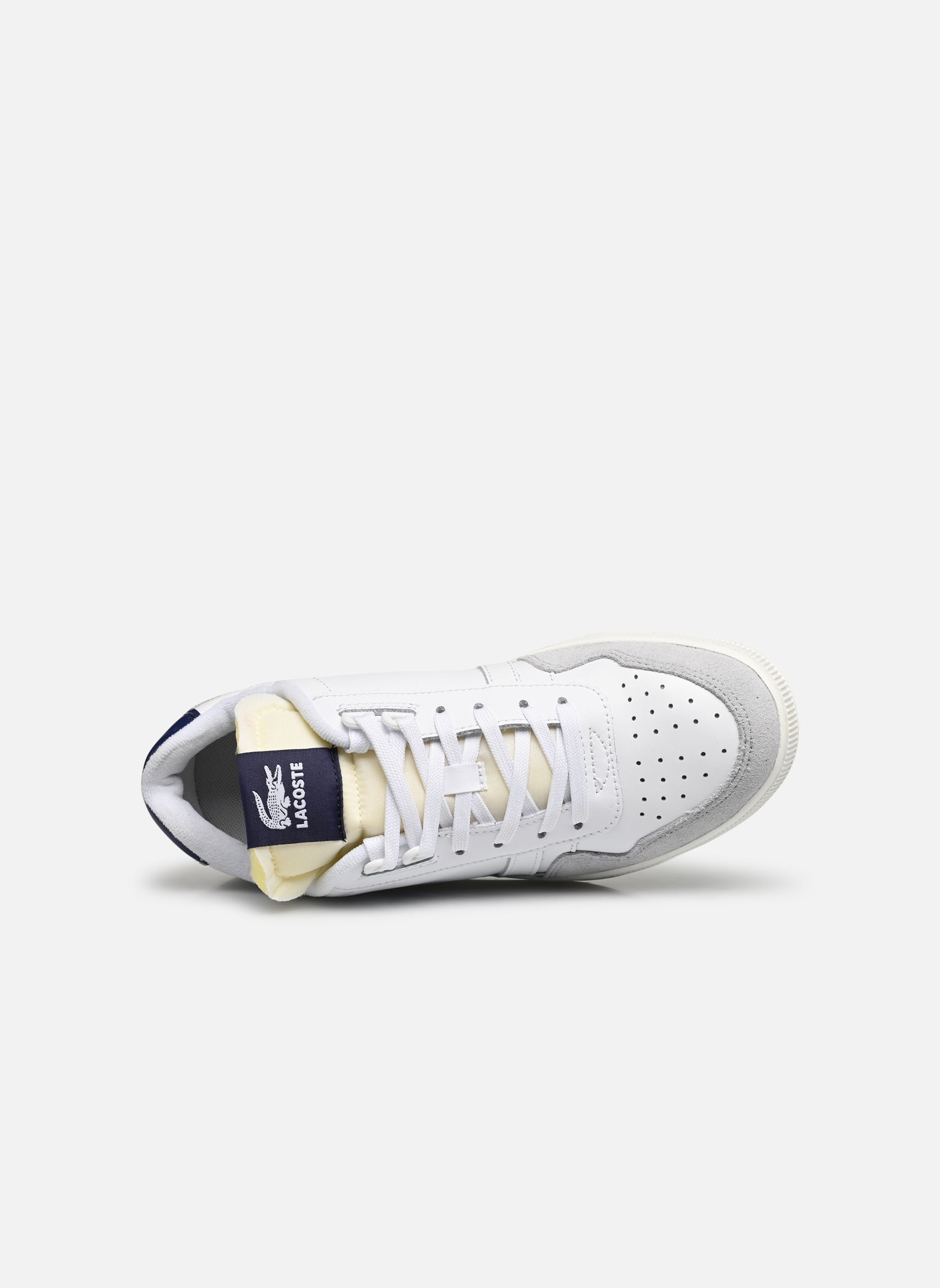 Sneaker T-CLIP 223 5 SFA damen weiß Lacoste Sneaker T-CLIP 223 5 SFA damen weiß WHT/NVY