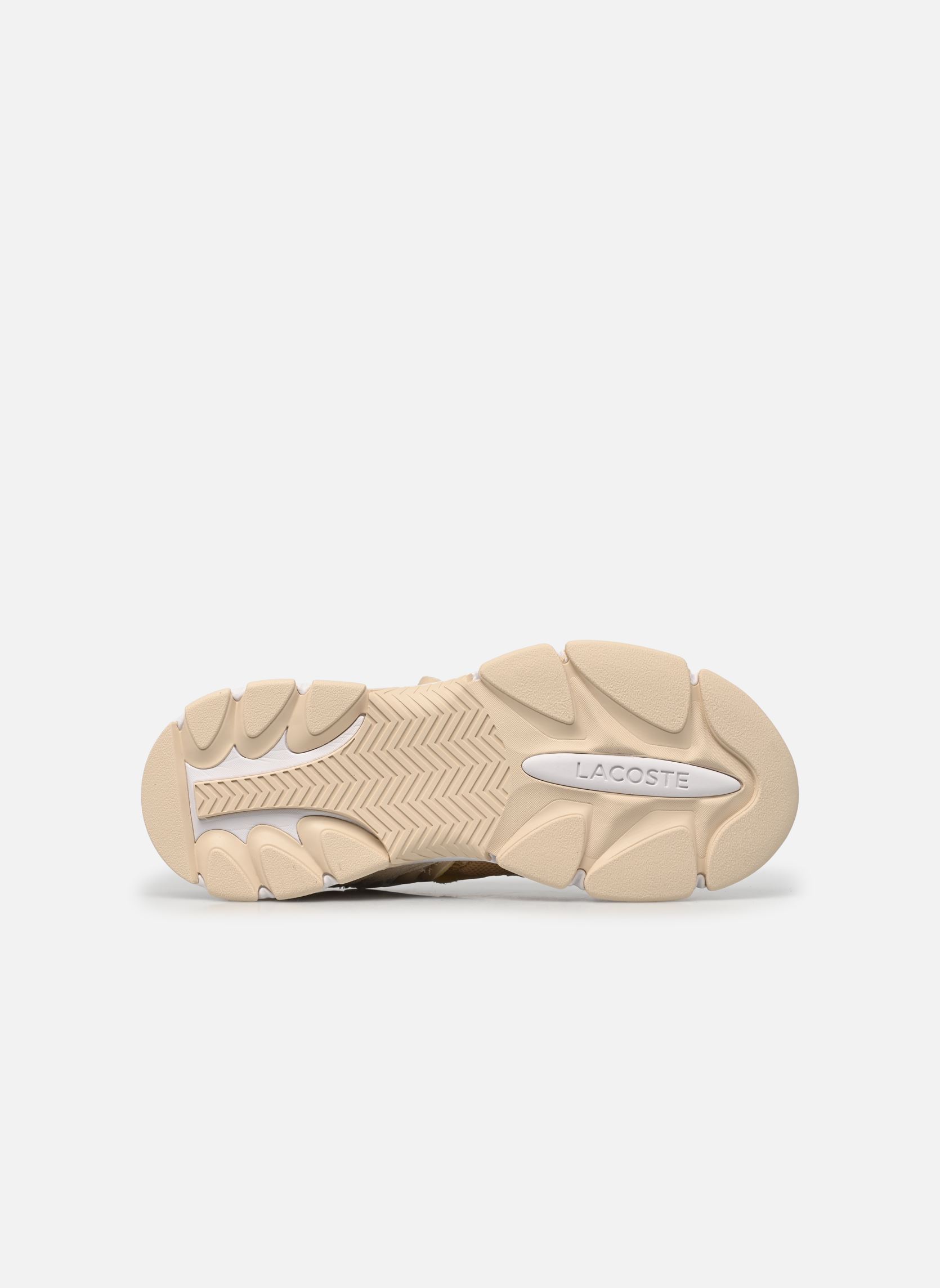 Sportliche Sneaker L003 NEO 223 1 SFA damen beige Lacoste Sportliche Sneaker L003 NEO 223 1 SFA damen beige LT TAN/WHT
