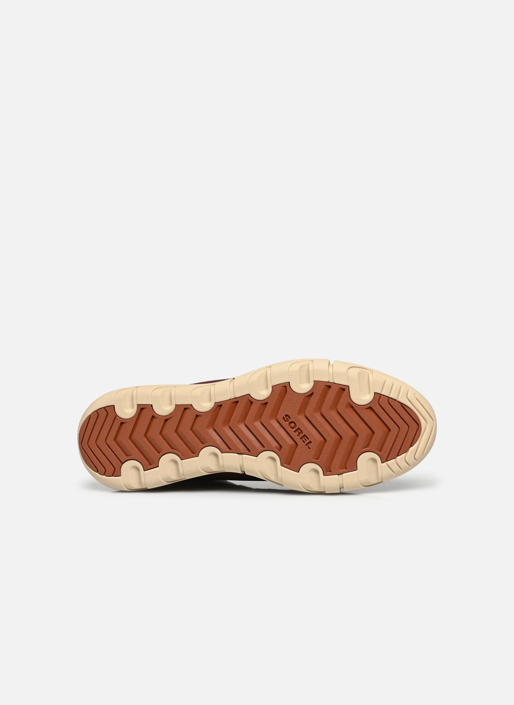 Knöchelhohe Sneaker Explorer Next Sneaker Mid Wp herren braun Sorel Knöchelhohe Sneaker Explorer Next Sneaker Mid Wp herren braun Abyss / Oatmeal
