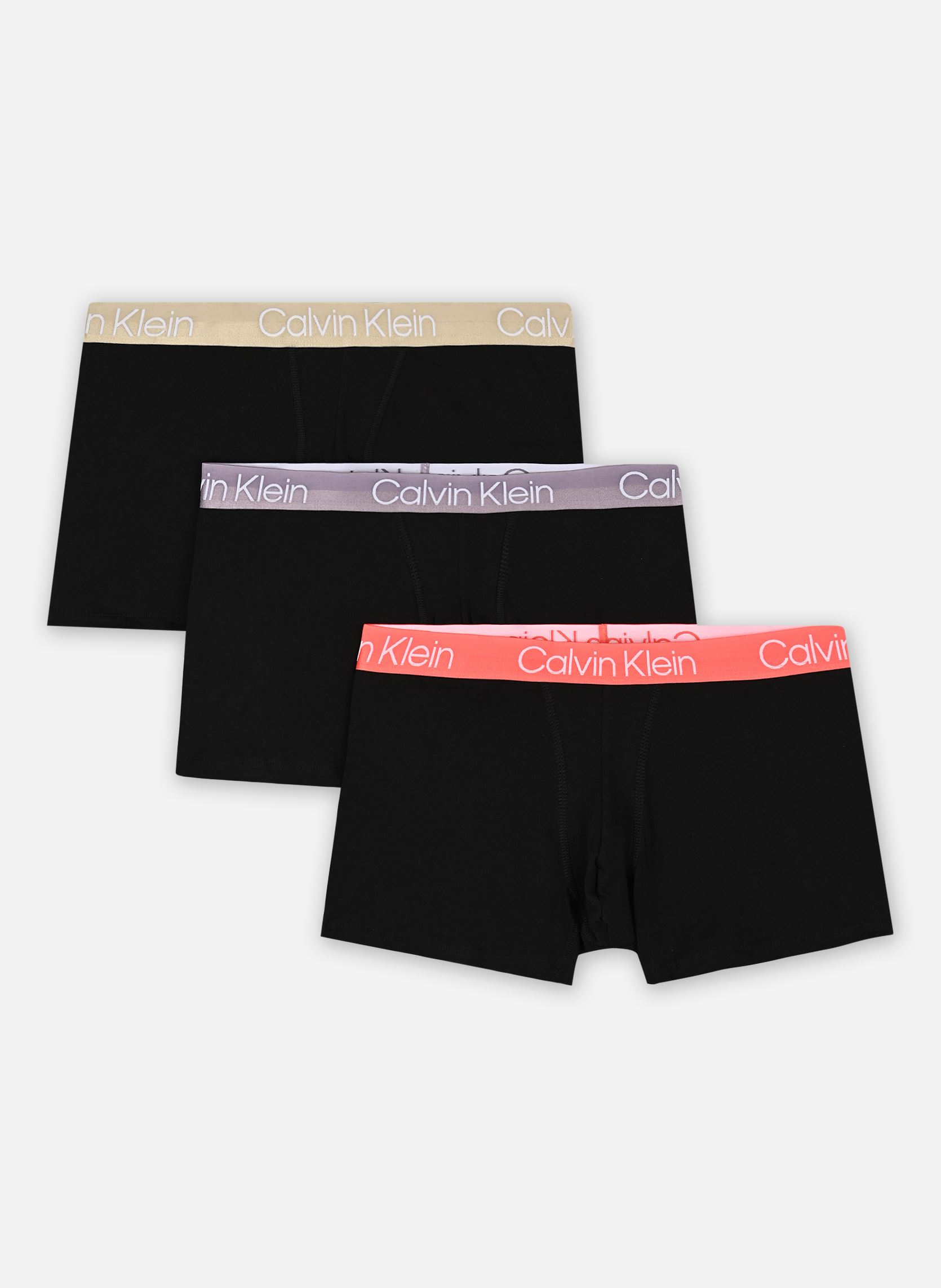 Vêtements Calvin Klein Trunk 3Pk Modern Structure pour Accessoires - vue 2