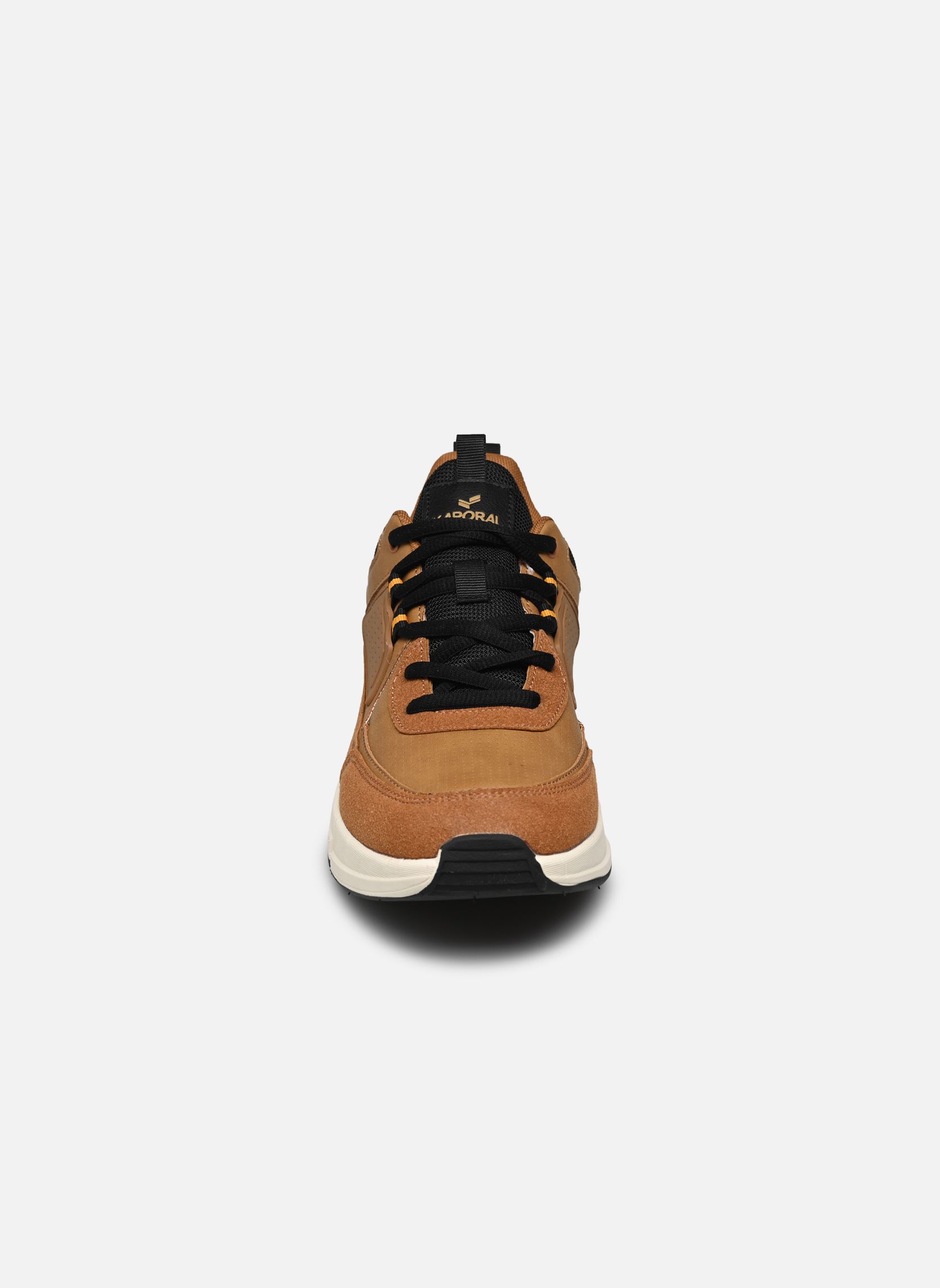 Sneaker Dolpi herren braun Kaporal Sneaker Dolpi herren braun CAMEL-NOIR