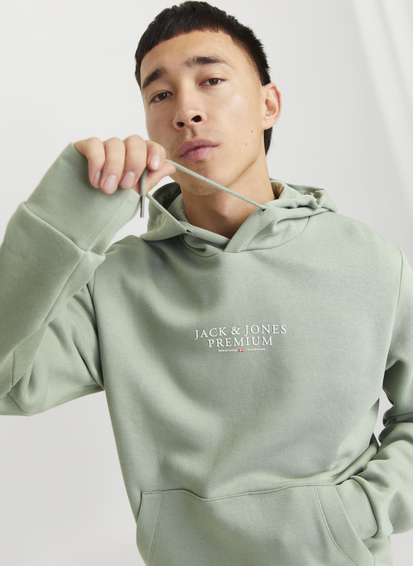 Sweats à capuche JPRBLUARCHIE SWEAT HOOD NOOS homme vert Jack & Jones Sweats à capuche JPRBLUARCHIE SWEAT HOOD NOOS homme vert ICEBERG GREEN