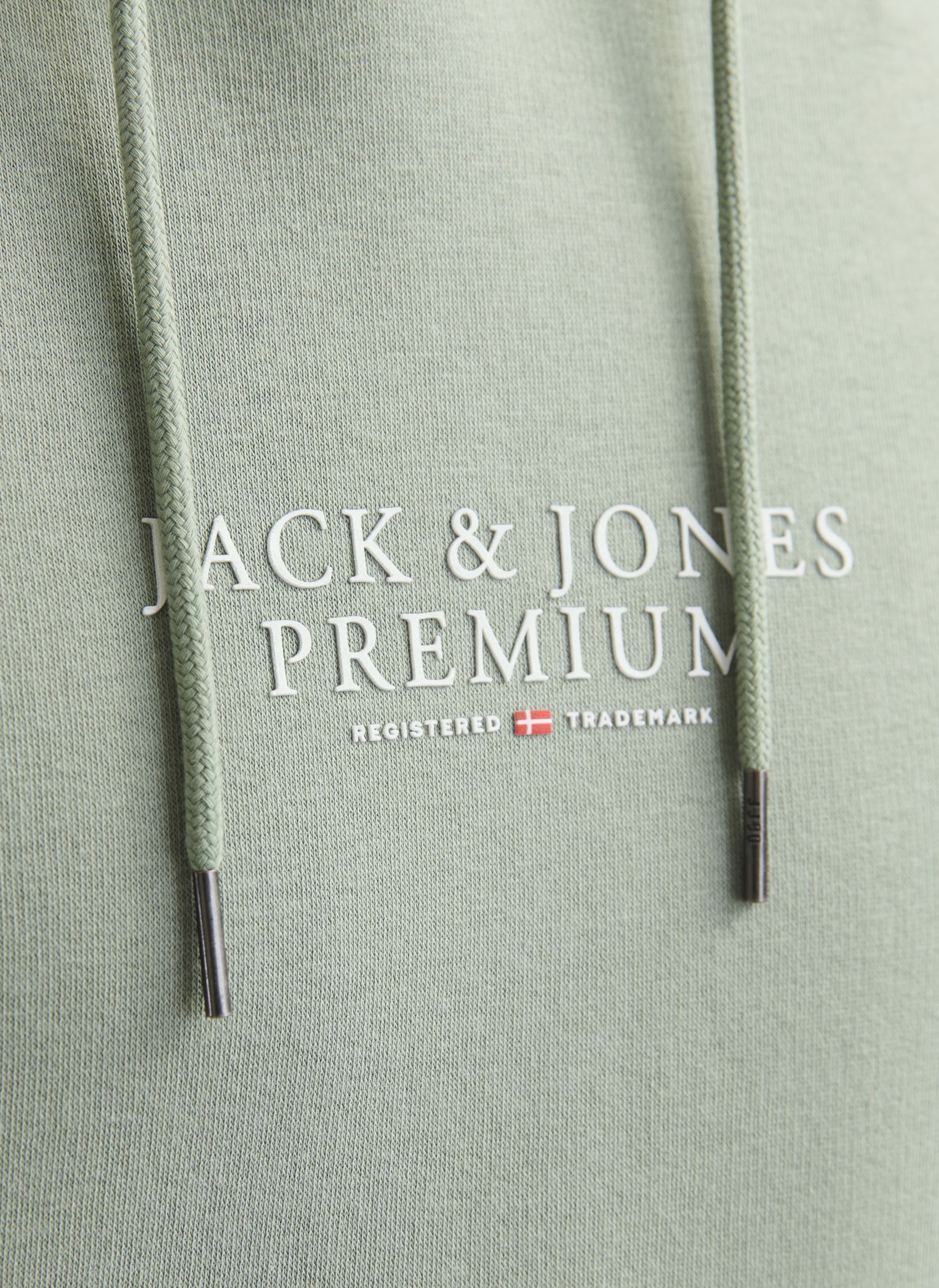 Sweats à capuche JPRBLUARCHIE SWEAT HOOD NOOS homme vert Jack & Jones Sweats à capuche JPRBLUARCHIE SWEAT HOOD NOOS homme vert ICEBERG GREEN