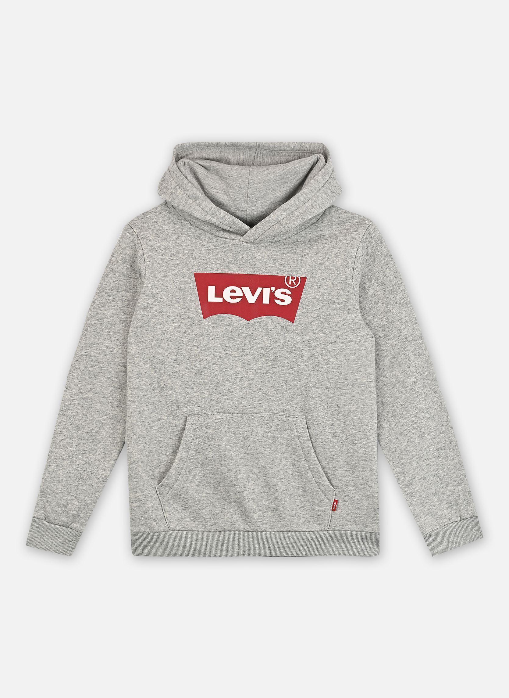 Vêtements Levi's Kids Levi's® Batwing Screenprint Hooded Pullover pour Enfant