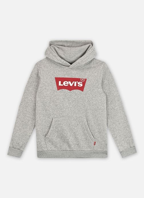 Levi's Kids Hoodies Levi's® Batwing Screenprint Hooded Pullo jongens grijs