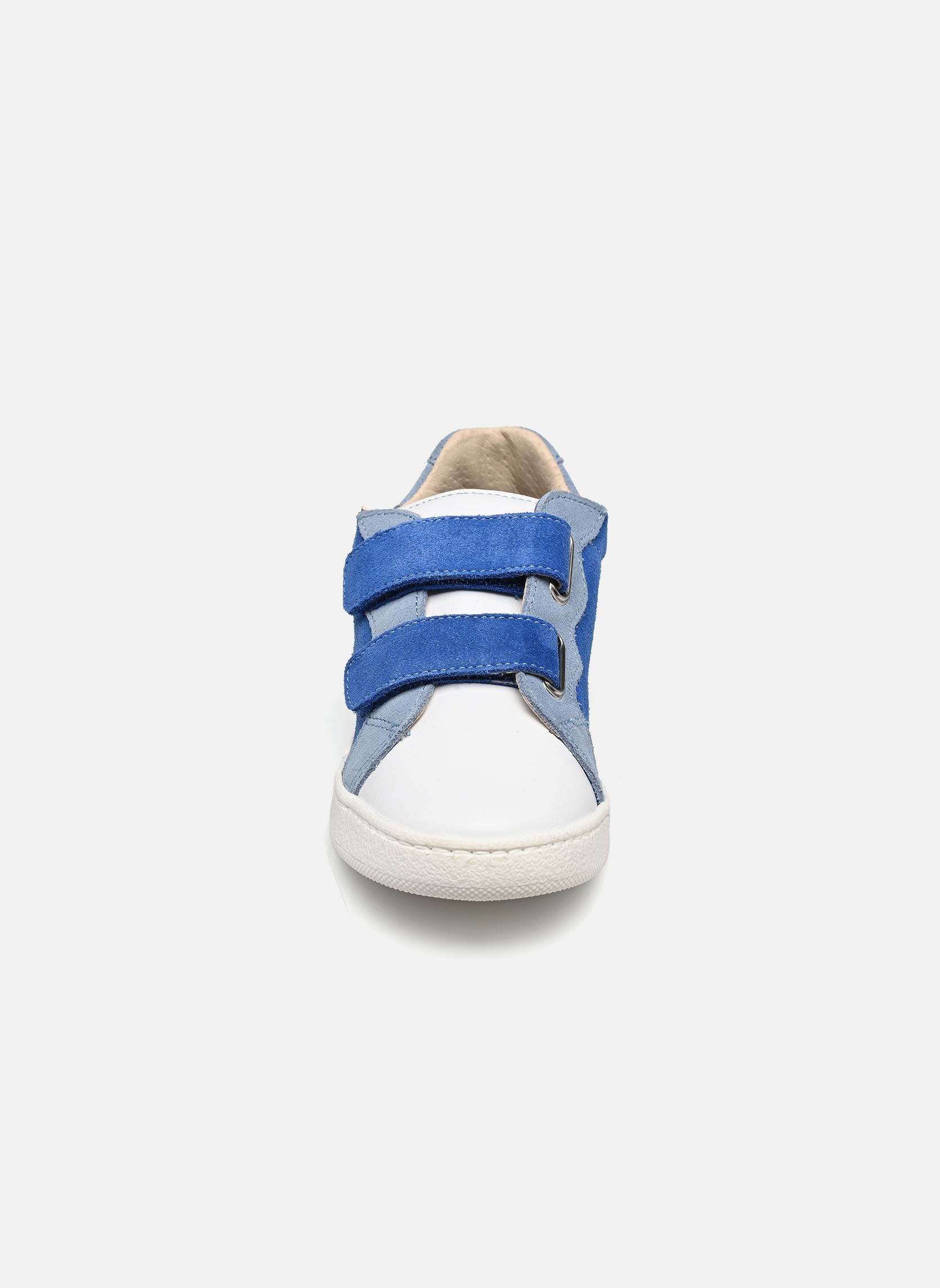 Baskets TISKET garçon bleu Rose et Martin Baskets TISKET garçon bleu Multi Bleu